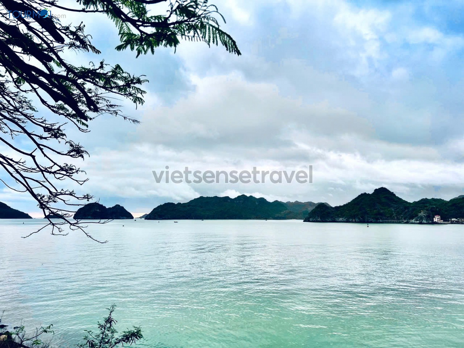 10 Điểm du lịch biển đảo gần Hà Nội lý tưởng cho mùa hè 2025 - Ảnh 5 10 Điểm du lịch biển đảo gần Hà Nội lý tưởng cho mùa hè 2025 - Ảnh 5