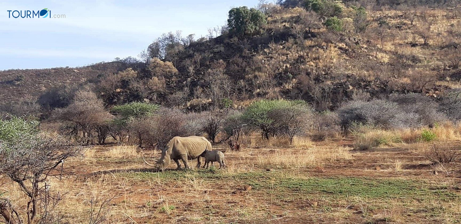 12 điều cần biết để du lịch Nam Phi dễ dàng - Ảnh 4 12 điều cần biết để du lịch Nam Phi dễ dàng - Ảnh 4