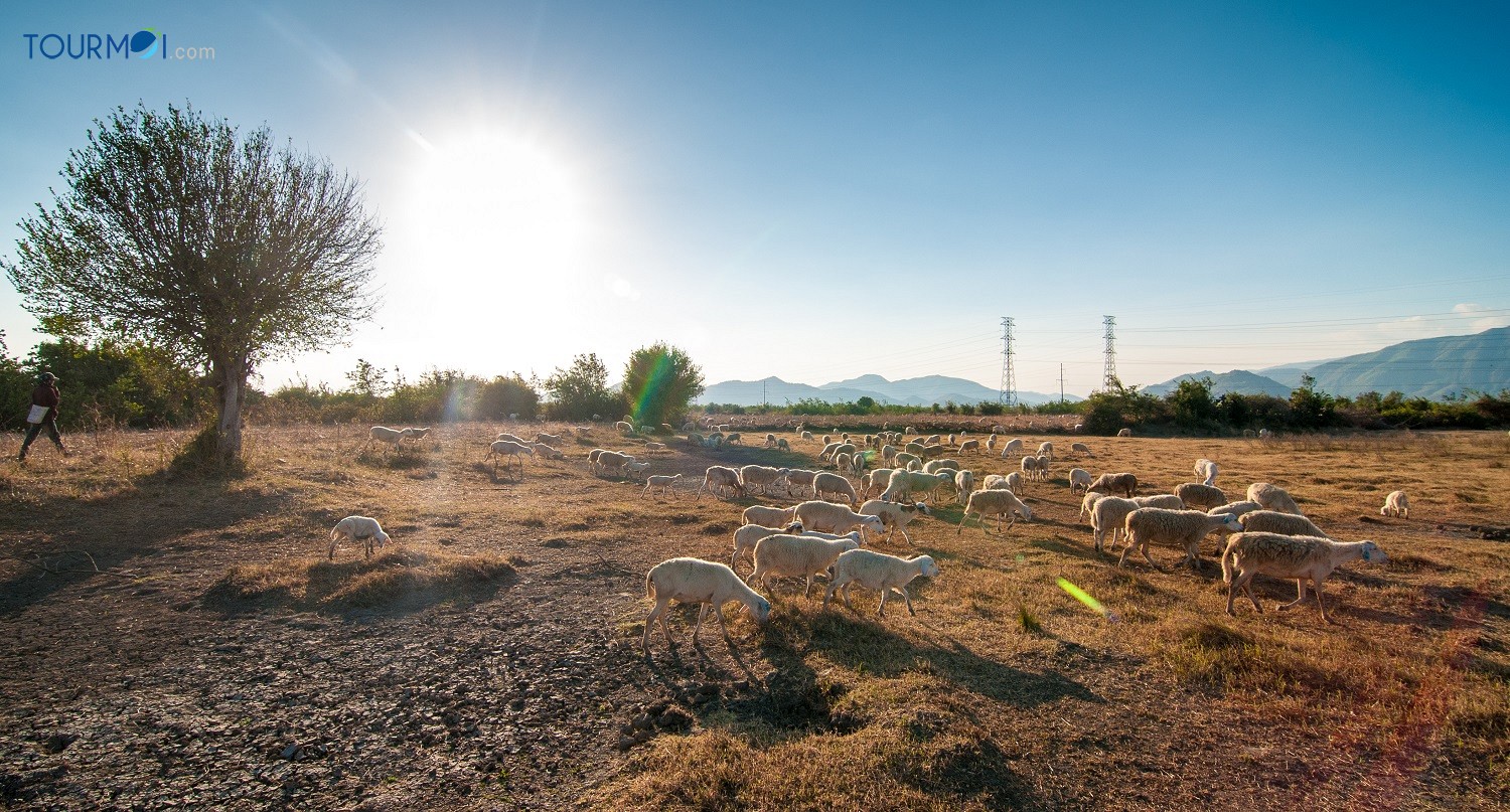 8 điểm “check in” triệu like của du lịch Ninh Thuận - Ảnh 3 8 điểm “check in” triệu like của du lịch Ninh Thuận - Ảnh 3