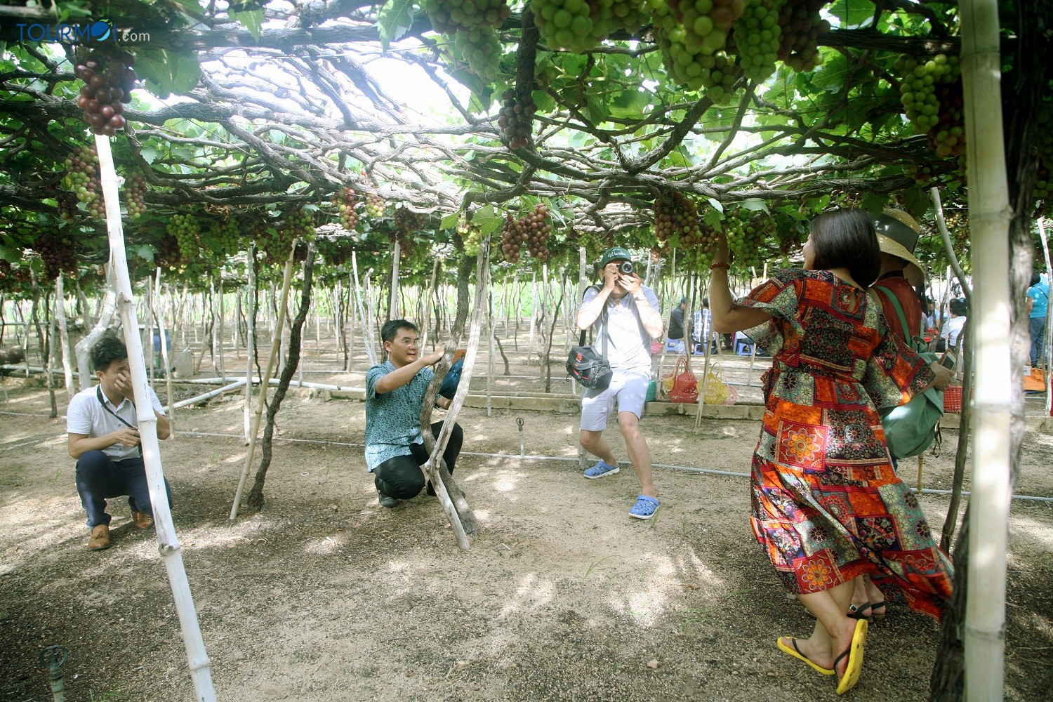 8 điểm “check in” triệu like của du lịch Ninh Thuận - Ảnh 5 8 điểm “check in” triệu like của du lịch Ninh Thuận - Ảnh 5