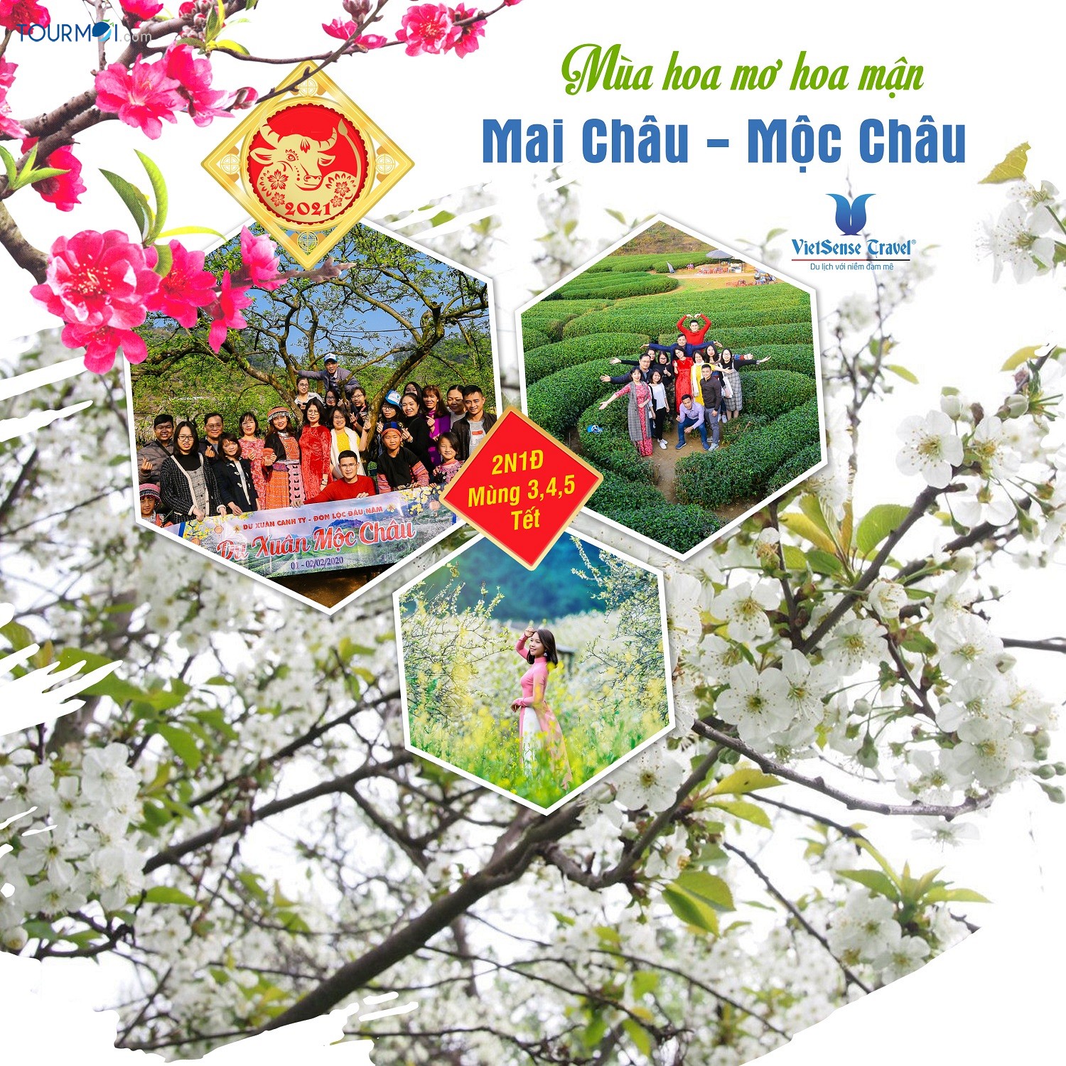 Tuyển chọn 8 tour du lịch Tết Nguyên Đán hót nhất mọi thời đại - Ảnh 5