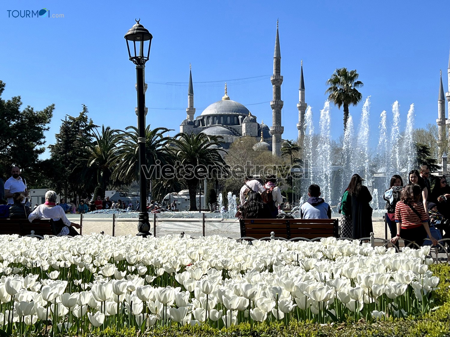 Blue Mosque – Thánh đường Xanh Sultan Ahmed ở Istanbul - Ảnh 1