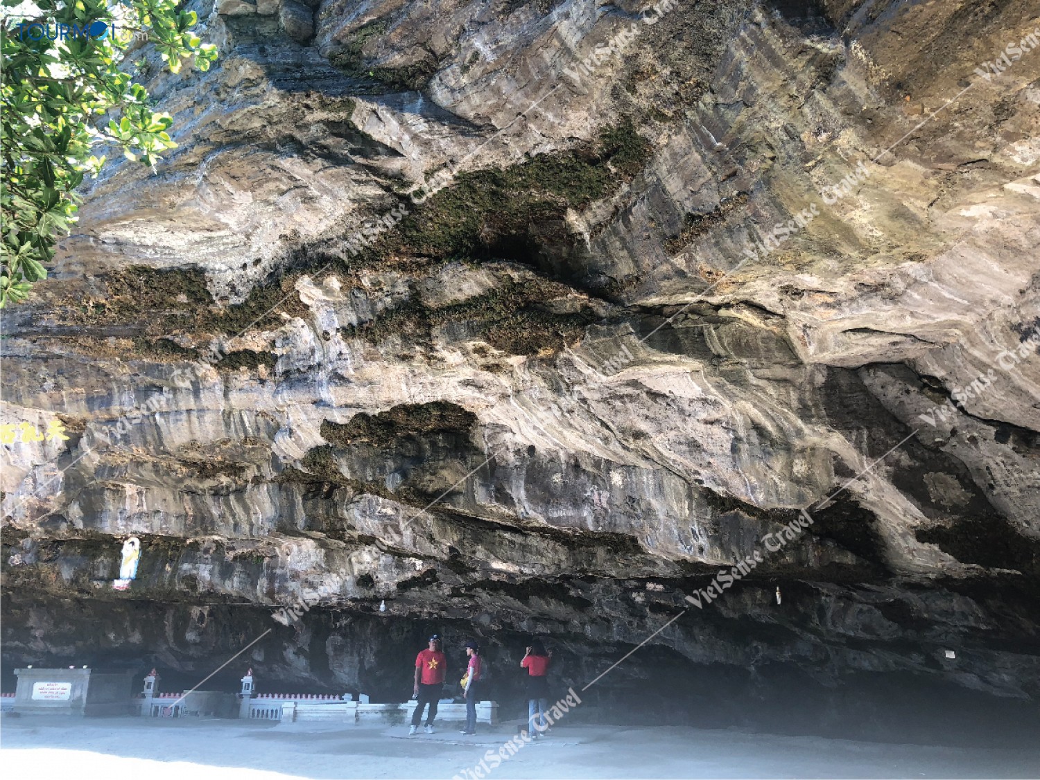 Chia sẻ kinh nghiệm Du lịch Đảo Lý Sơn - Ảnh 6 Chia sẻ kinh nghiệm Du lịch Đảo Lý Sơn - Ảnh 6