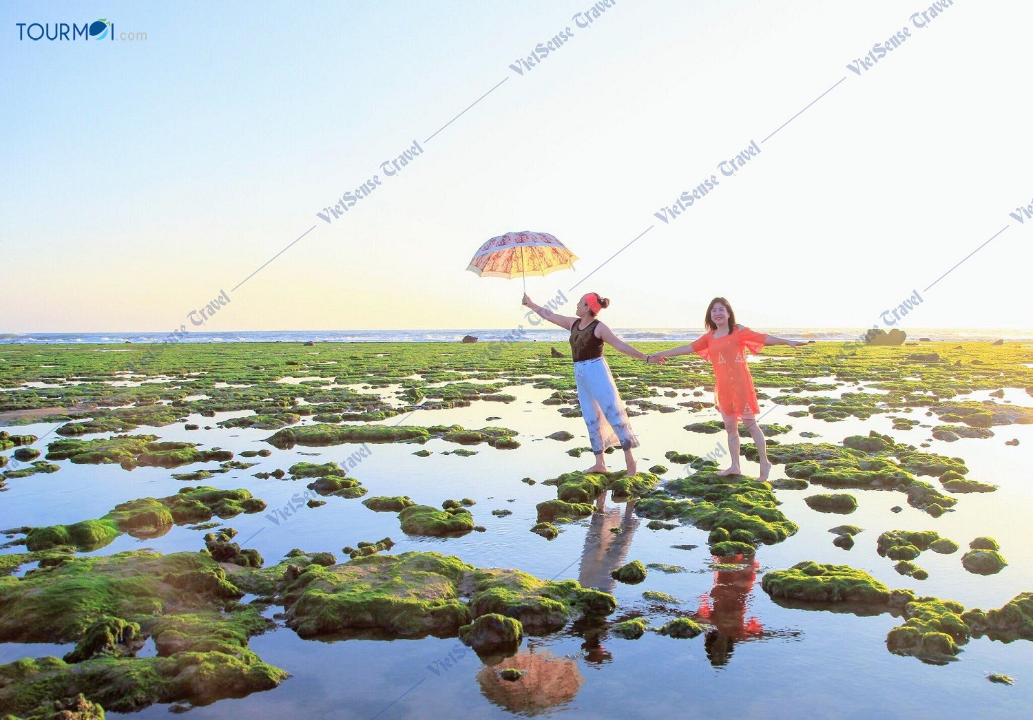 Đẹp mê hồn CÁNH ĐỒNG RONG BIỂN NINH THUẬN - Ảnh 1 Đẹp mê hồn CÁNH ĐỒNG RONG BIỂN NINH THUẬN - Ảnh 1