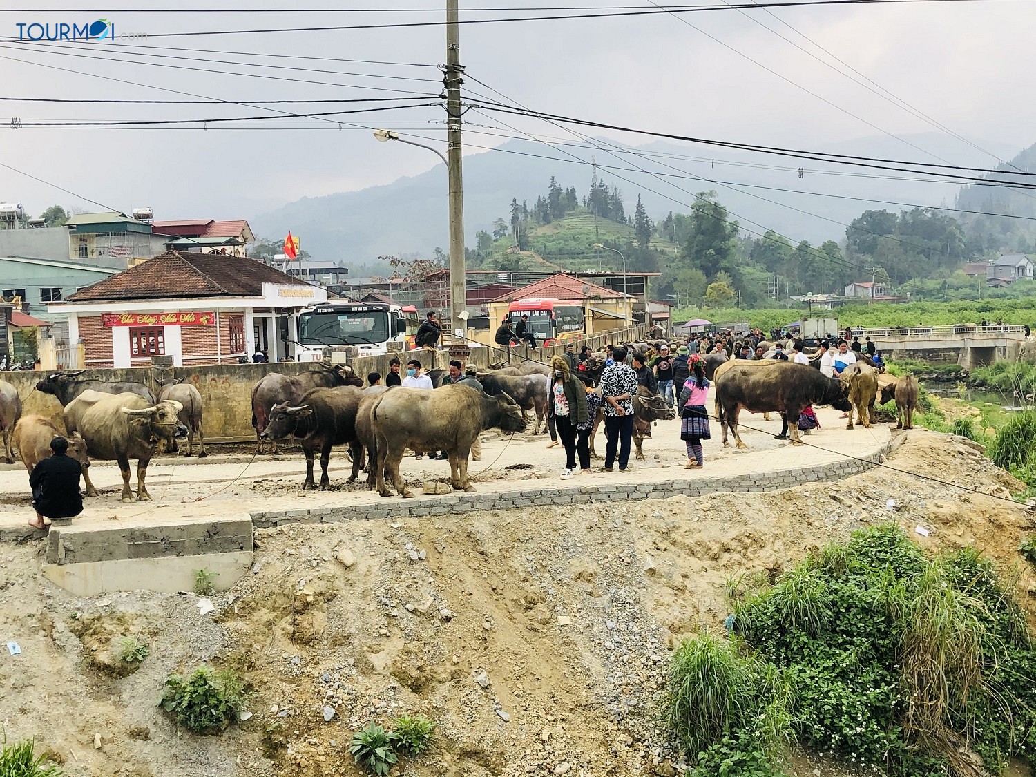 Tất tần tật về Du lịch Bắc Hà trải nghiệm Cao nguyên trắng - Ảnh 2