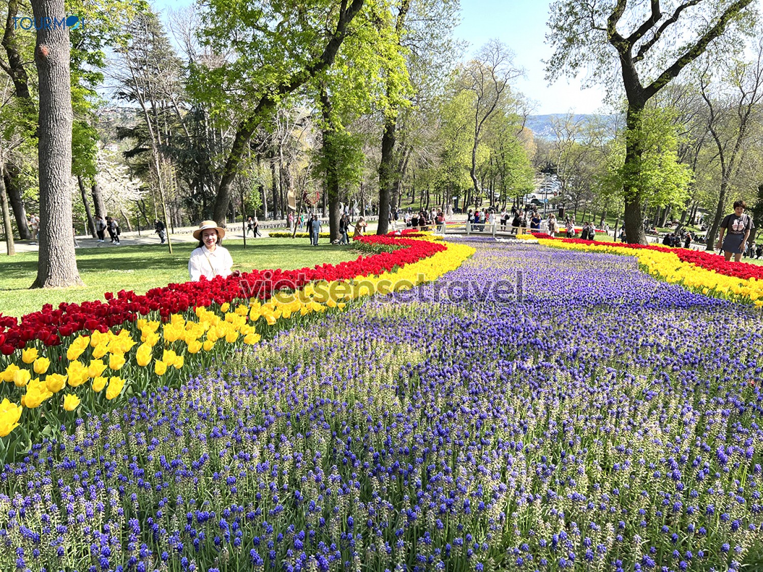 Toàn cảnh Lễ hội hoa Tulip Istanbul Thổ Nhĩ Kỳ rực rỡ sắc màu - Ảnh 3 Toàn cảnh Lễ hội hoa Tulip Istanbul Thổ Nhĩ Kỳ rực rỡ sắc màu - Ảnh 3