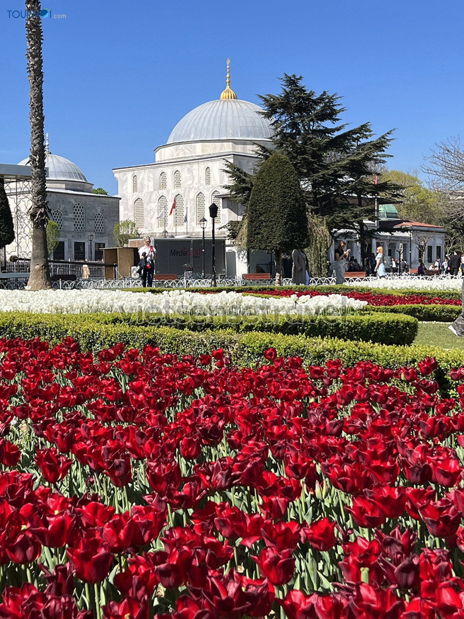 Toàn cảnh Lễ hội hoa Tulip Istanbul Thổ Nhĩ Kỳ rực rỡ sắc màu - Ảnh 7 Toàn cảnh Lễ hội hoa Tulip Istanbul Thổ Nhĩ Kỳ rực rỡ sắc màu - Ảnh 7