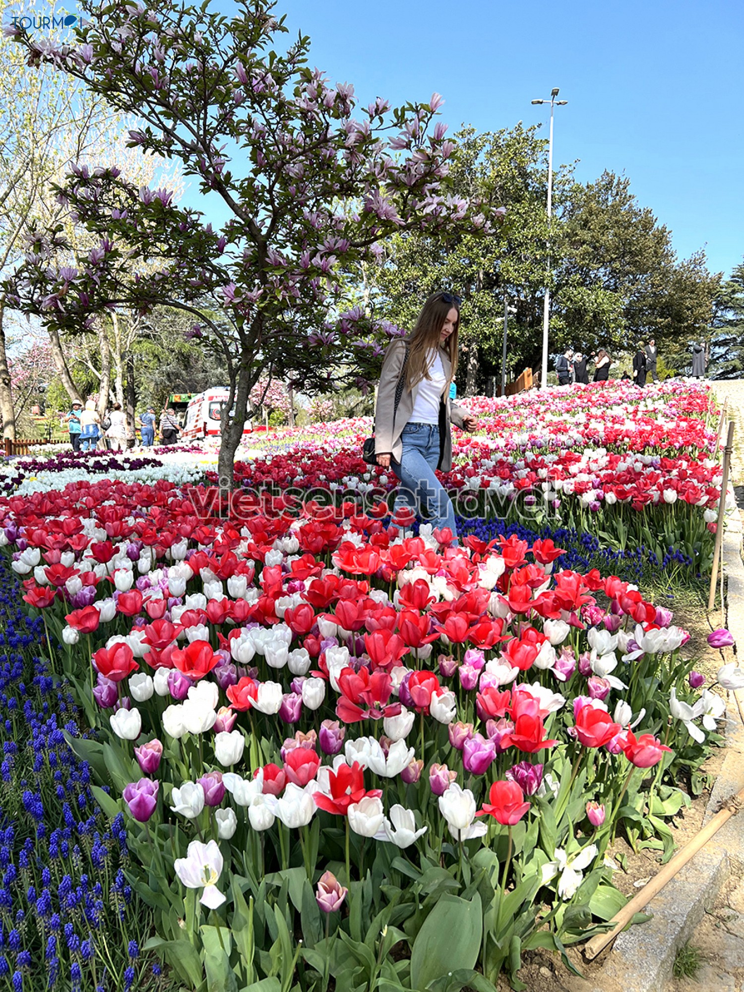 Toàn cảnh Lễ hội hoa Tulip Istanbul Thổ Nhĩ Kỳ rực rỡ sắc màu - Ảnh 12 Toàn cảnh Lễ hội hoa Tulip Istanbul Thổ Nhĩ Kỳ rực rỡ sắc màu - Ảnh 12
