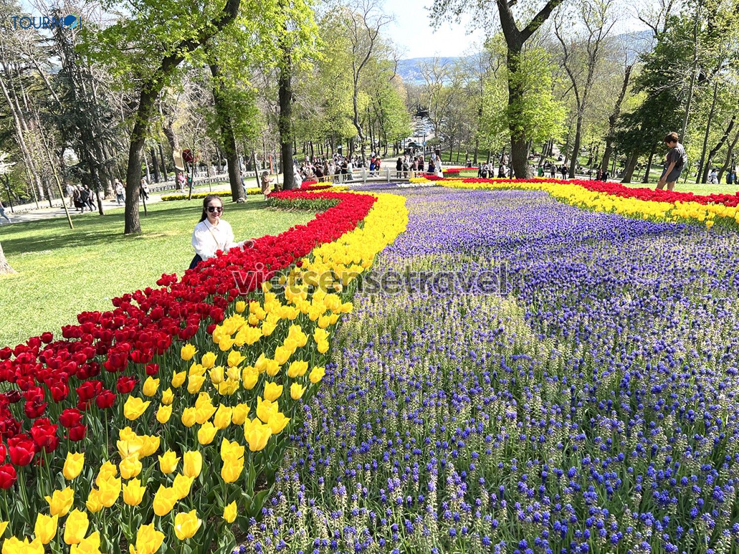 Toàn cảnh Lễ hội hoa Tulip Istanbul Thổ Nhĩ Kỳ rực rỡ sắc màu - Ảnh 14 Toàn cảnh Lễ hội hoa Tulip Istanbul Thổ Nhĩ Kỳ rực rỡ sắc màu - Ảnh 14