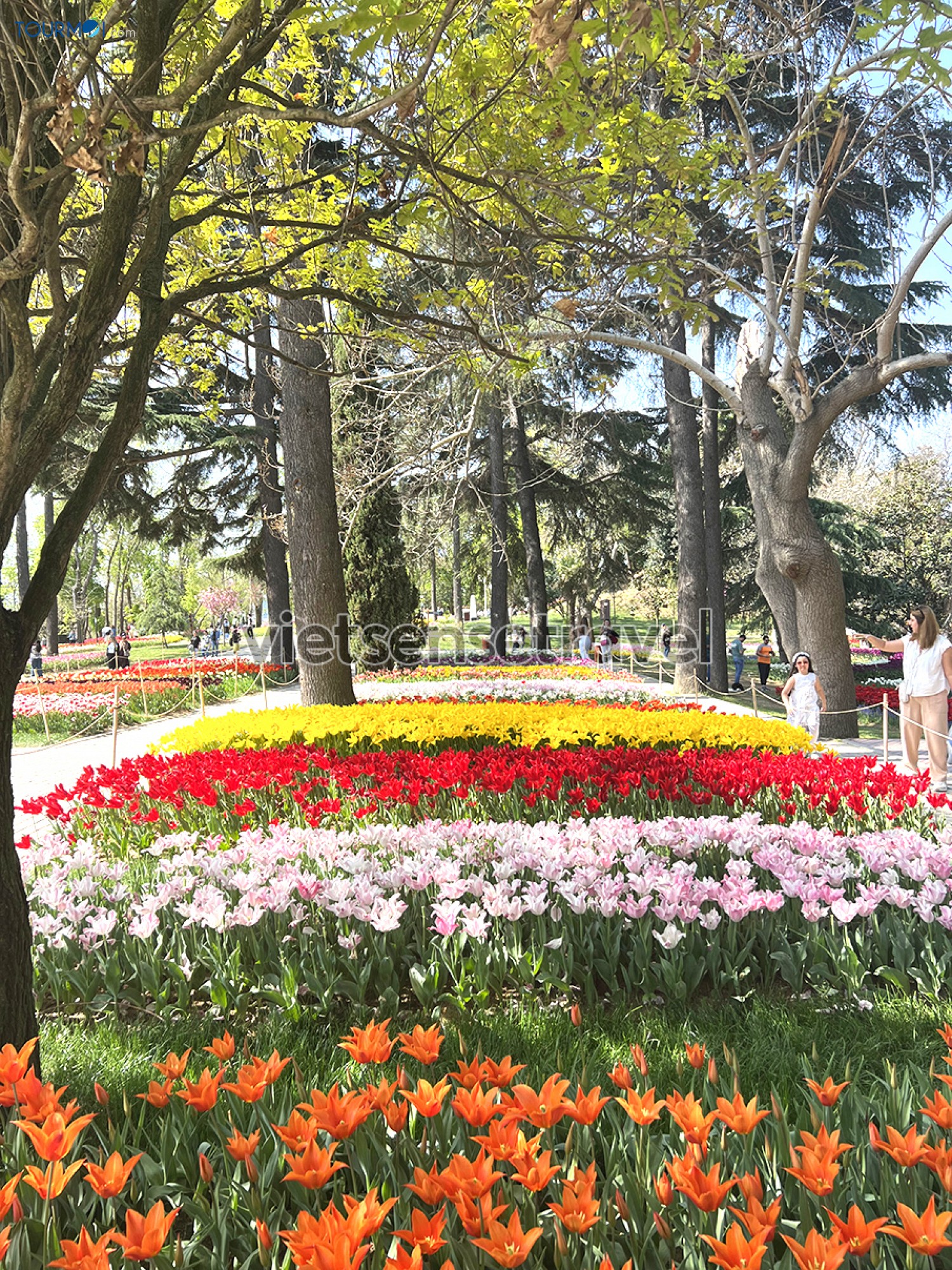 Toàn cảnh Lễ hội hoa Tulip Istanbul Thổ Nhĩ Kỳ rực rỡ sắc màu - Ảnh 2 Toàn cảnh Lễ hội hoa Tulip Istanbul Thổ Nhĩ Kỳ rực rỡ sắc màu - Ảnh 2