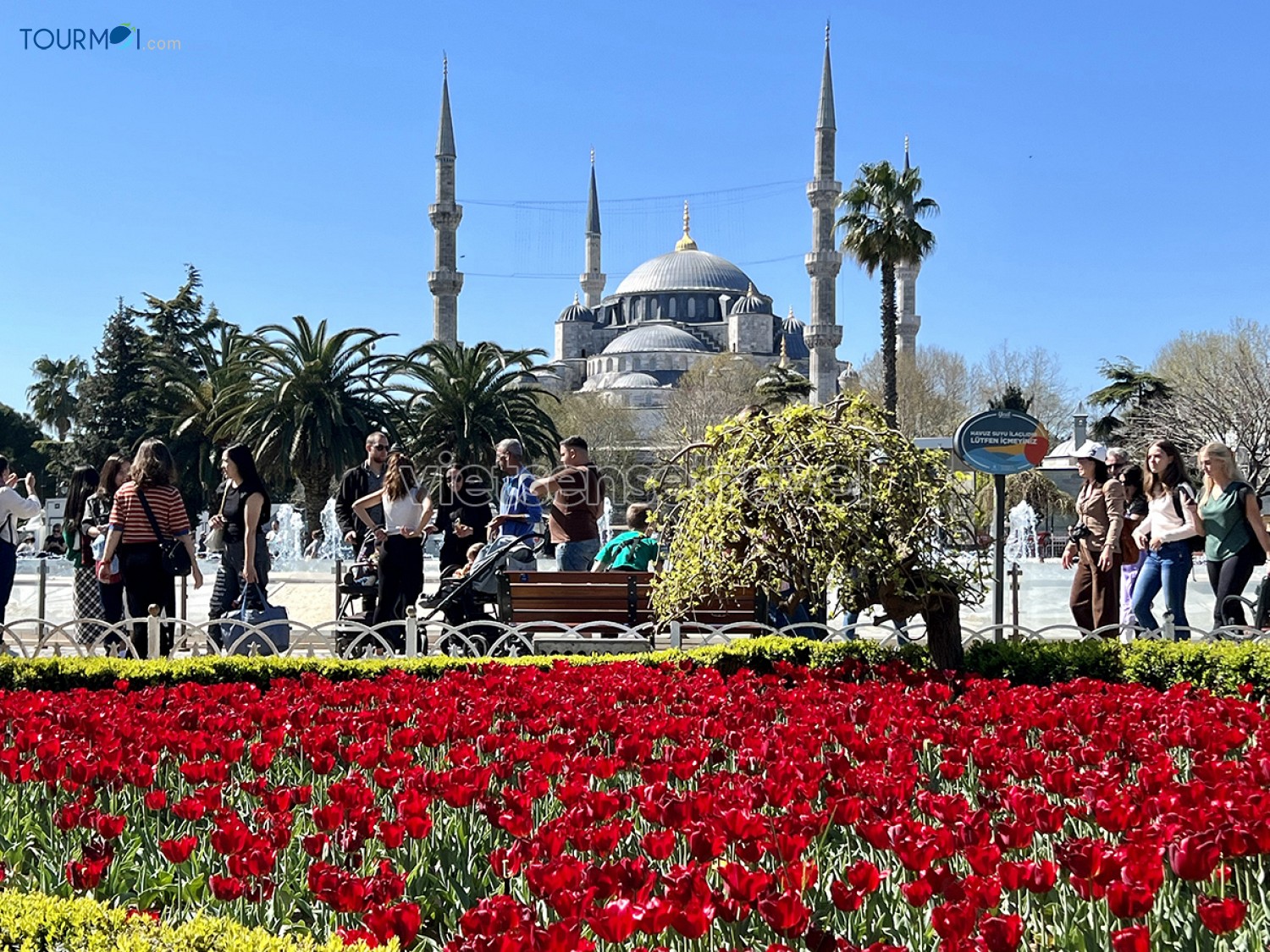 Toàn cảnh Lễ hội hoa Tulip Istanbul Thổ Nhĩ Kỳ rực rỡ sắc màu - Ảnh 6 Toàn cảnh Lễ hội hoa Tulip Istanbul Thổ Nhĩ Kỳ rực rỡ sắc màu - Ảnh 6