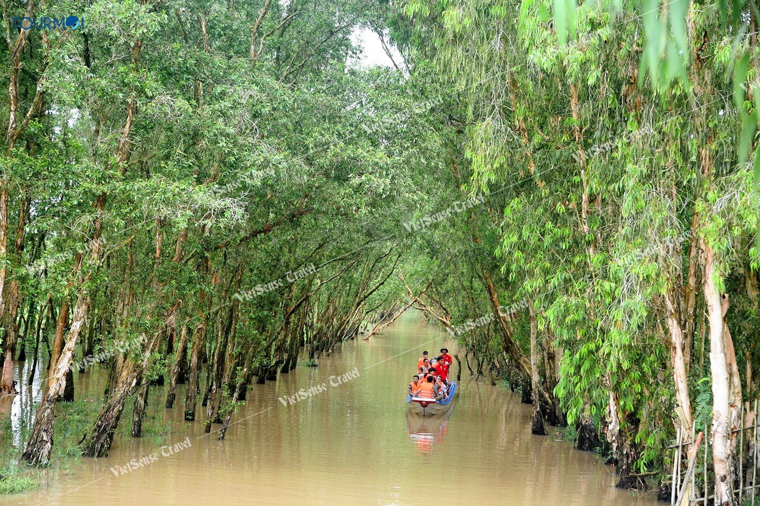 Mê mẩn vẻ đẹp Miền Tây mùa nước nổi - Ảnh 1 Mê mẩn vẻ đẹp Miền Tây mùa nước nổi - Ảnh 1