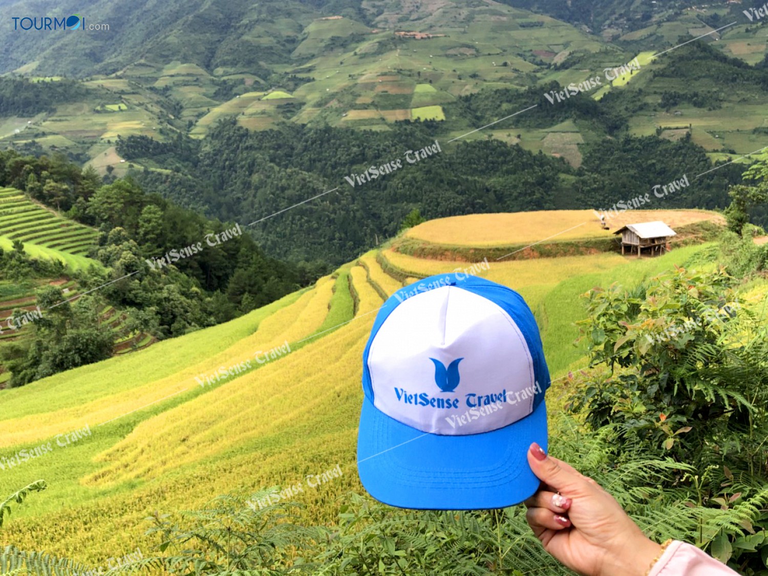 Mong lắm MÙA LÚA CHÍN, MÙ CANG CHẢI ơi! - Ảnh 4 Mong lắm MÙA LÚA CHÍN, MÙ CANG CHẢI ơi! - Ảnh 4