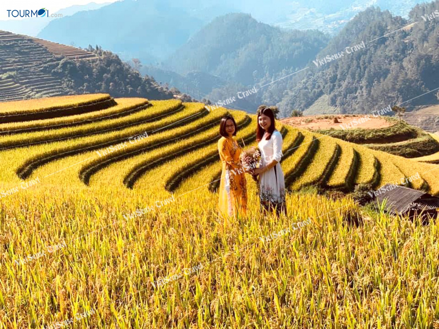 Mong lắm MÙA LÚA CHÍN, MÙ CANG CHẢI ơi! - Ảnh 2 Mong lắm MÙA LÚA CHÍN, MÙ CANG CHẢI ơi! - Ảnh 2