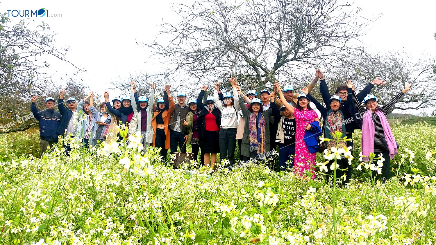 Đẹp lung linh mùa cải trắng trên cao nguyên Mộc Châu - Ảnh 6 Đẹp lung linh mùa cải trắng trên cao nguyên Mộc Châu - Ảnh 6