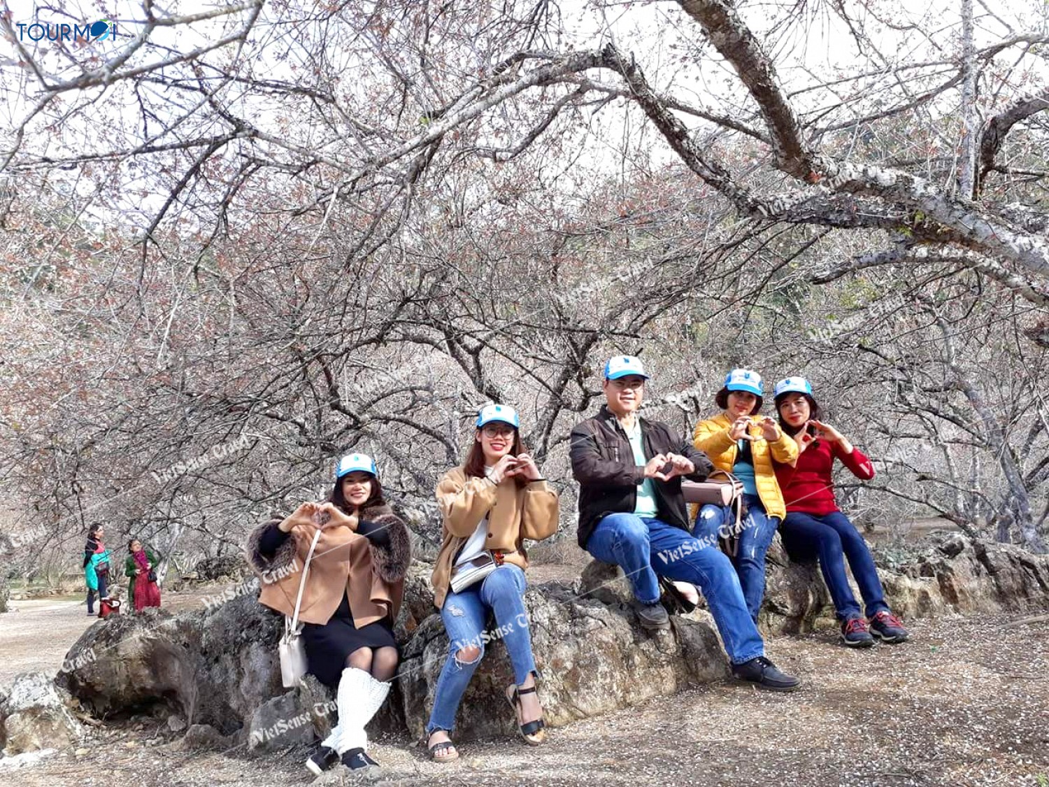 Đẹp lung linh mùa cải trắng trên cao nguyên Mộc Châu - Ảnh 5 Đẹp lung linh mùa cải trắng trên cao nguyên Mộc Châu - Ảnh 5