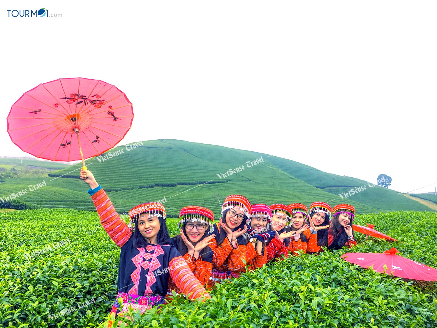 Đẹp lung linh mùa cải trắng trên cao nguyên Mộc Châu - Ảnh 7 Đẹp lung linh mùa cải trắng trên cao nguyên Mộc Châu - Ảnh 7