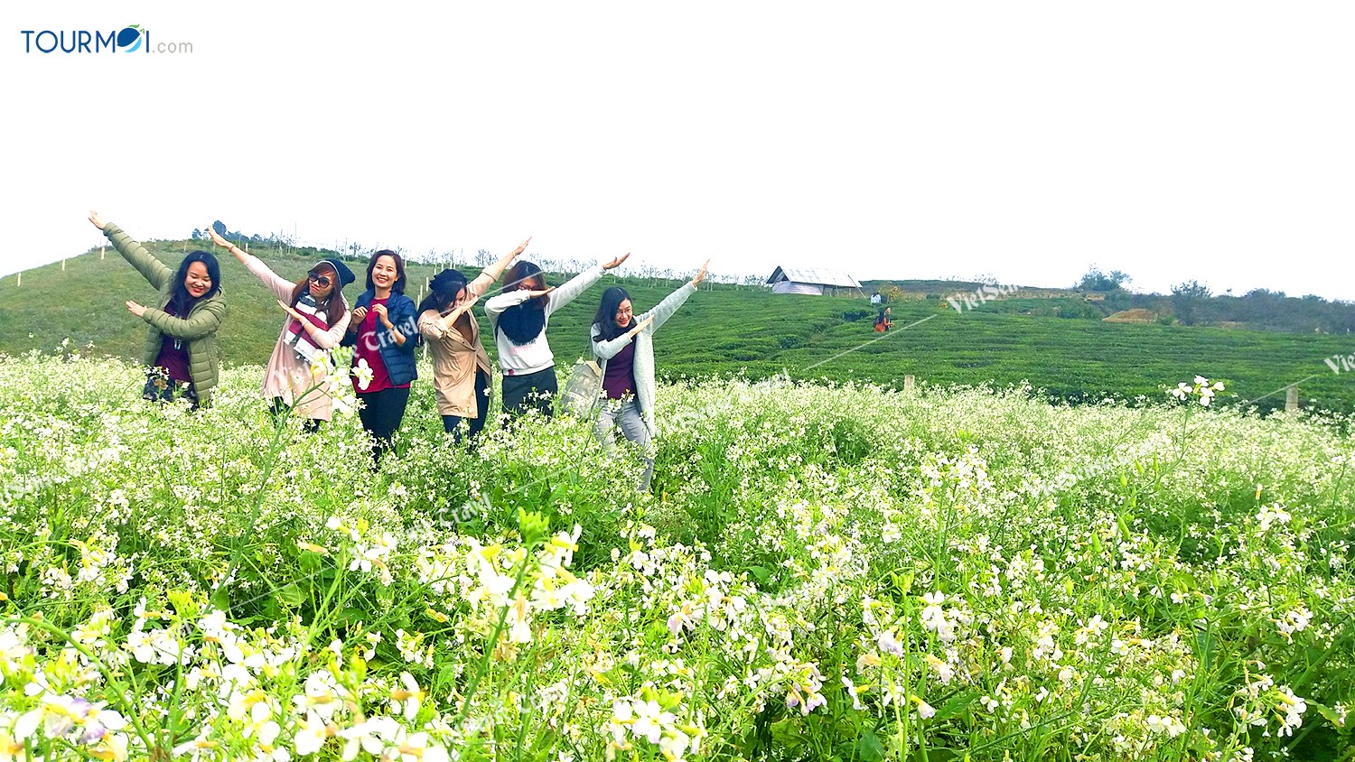 Đẹp lung linh mùa cải trắng trên cao nguyên Mộc Châu - Ảnh 2 Đẹp lung linh mùa cải trắng trên cao nguyên Mộc Châu - Ảnh 2