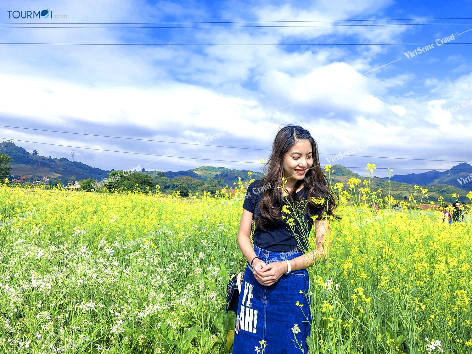 Đẹp lung linh mùa cải trắng trên cao nguyên Mộc Châu - Ảnh 3 Đẹp lung linh mùa cải trắng trên cao nguyên Mộc Châu - Ảnh 3