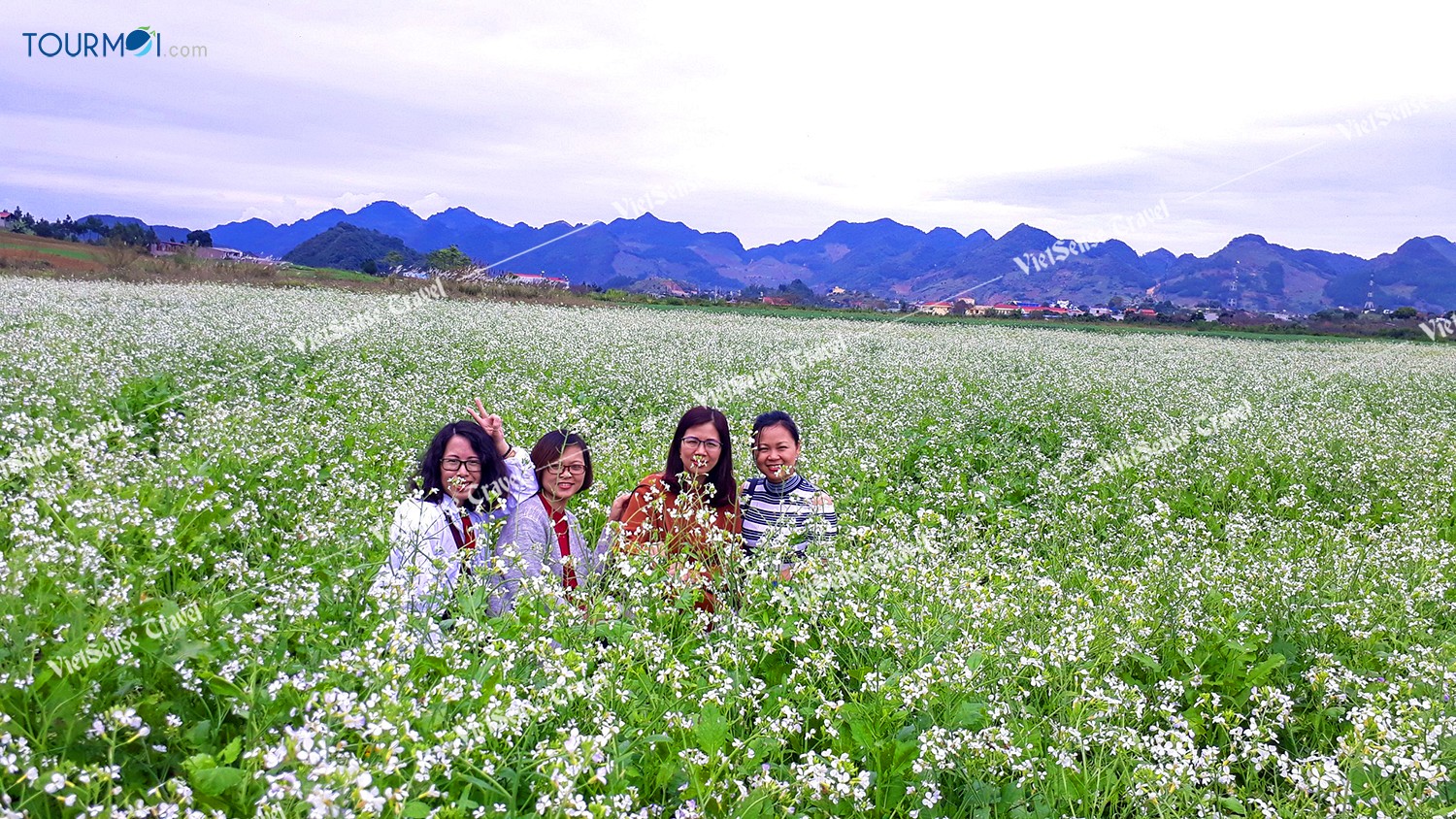 Đẹp lung linh mùa cải trắng trên cao nguyên Mộc Châu - Ảnh 1 Đẹp lung linh mùa cải trắng trên cao nguyên Mộc Châu - Ảnh 1