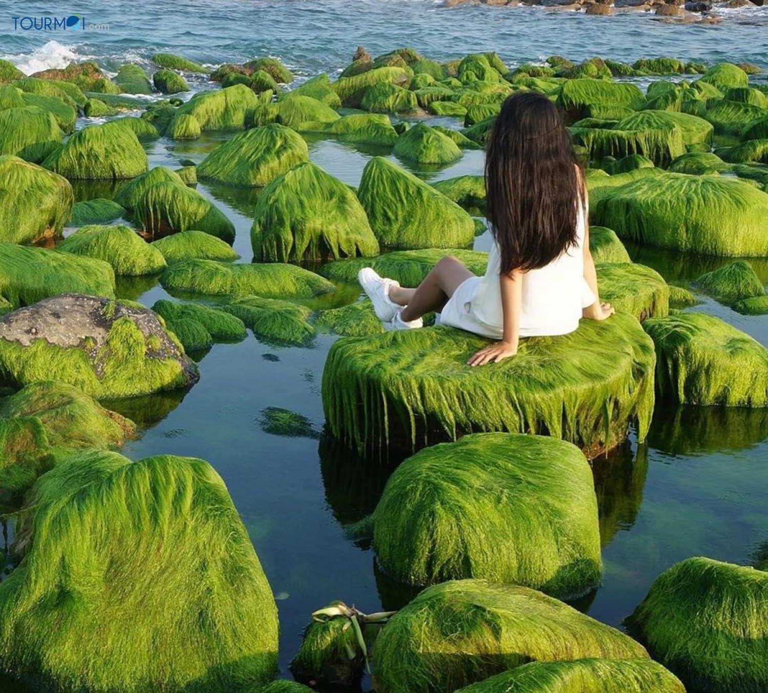 Mùa Rêu Xanh Lại Về Bên Rạn Nam Ô Đà Nẵng - Ảnh 1