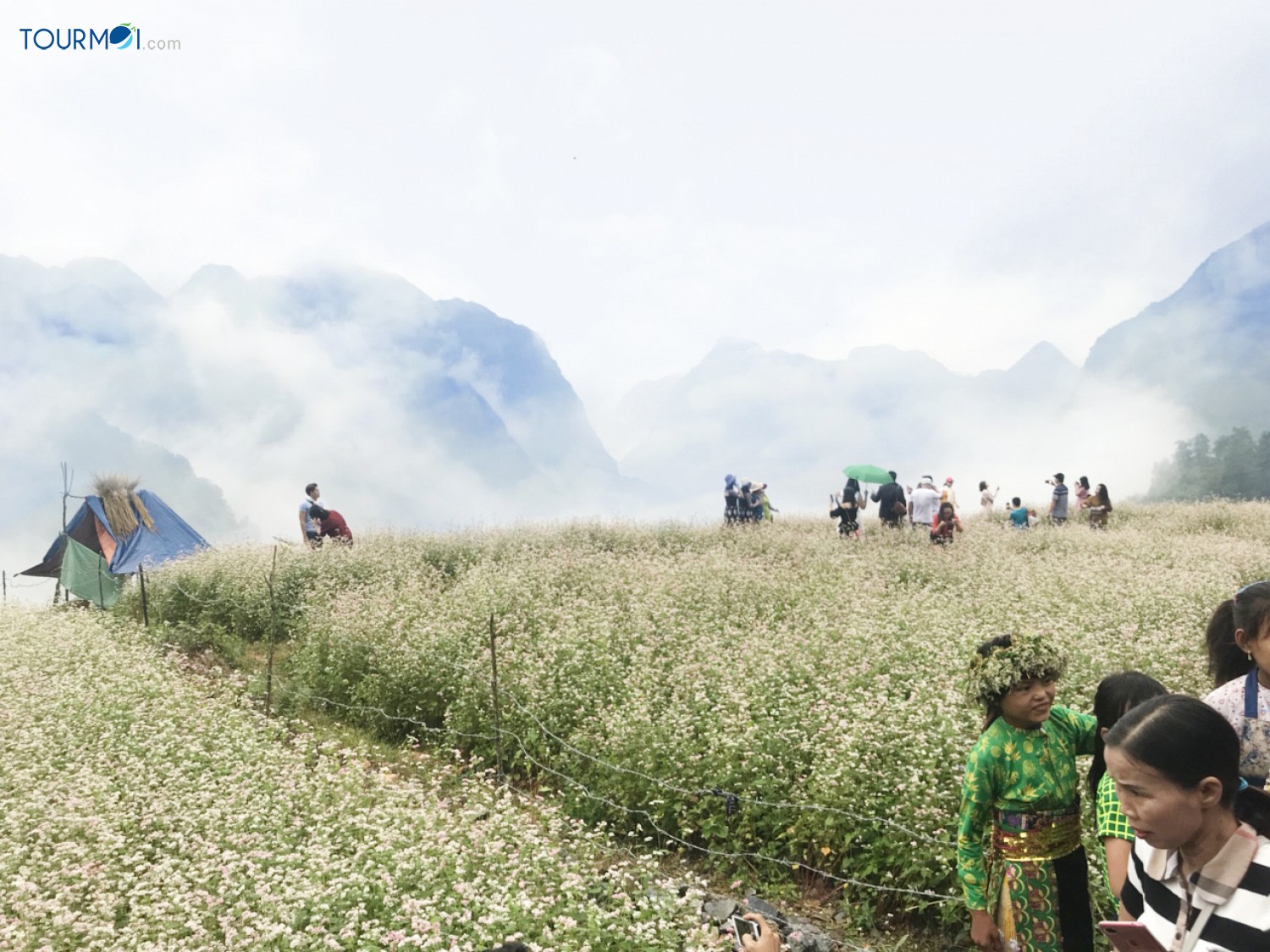 Tour Hà Giang Mùa Hoa Tam Giác Mạch - Ảnh 1