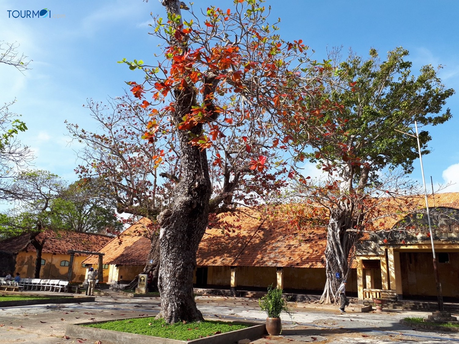 Tour Du lịch Côn Đảo 3 Ngày 2 Đêm Khởi Hành Từ Hà Nội - Ảnh 7