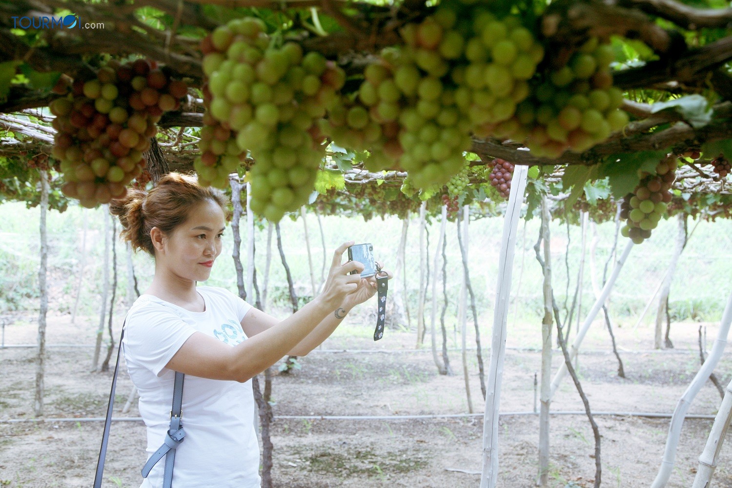Tour Du lịch Ninh Thuận 2 Ngày Ghép Khách Lẻ Hàng Ngày - Ảnh 4 Tour Du lịch Ninh Thuận 2 Ngày Ghép Khách Lẻ Hàng Ngày - Ảnh 4