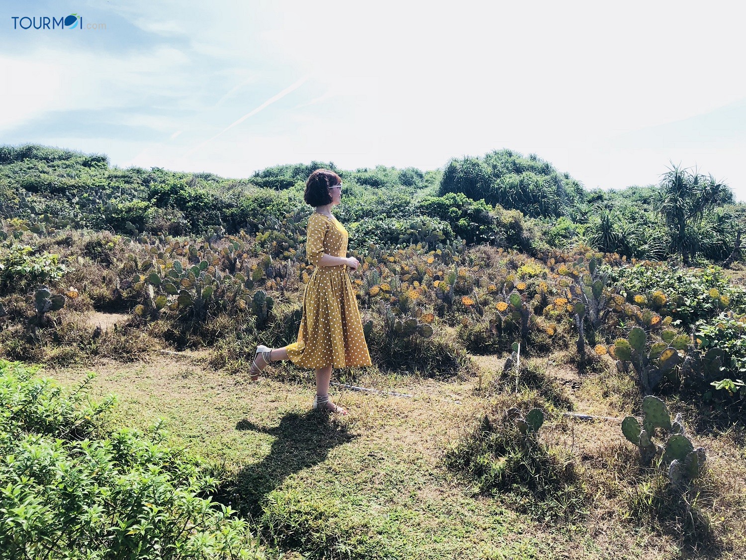 Tour Du lịch Phú Yên 4 Ngày Về Xứ Hoa Vàng Cỏ Xanh 2020 - Ảnh 5 Tour Du lịch Phú Yên 4 Ngày Về Xứ Hoa Vàng Cỏ Xanh 2020 - Ảnh 5