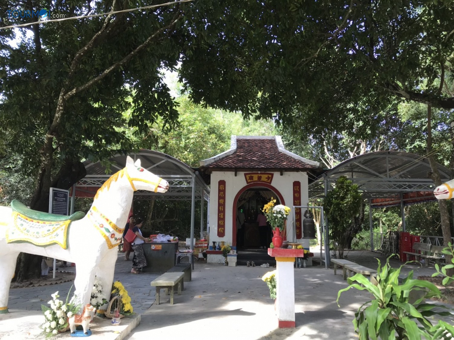 Hà Nội - Cần Thơ - Côn Đảo 3 Ngày 2 Đêm - Ảnh 3