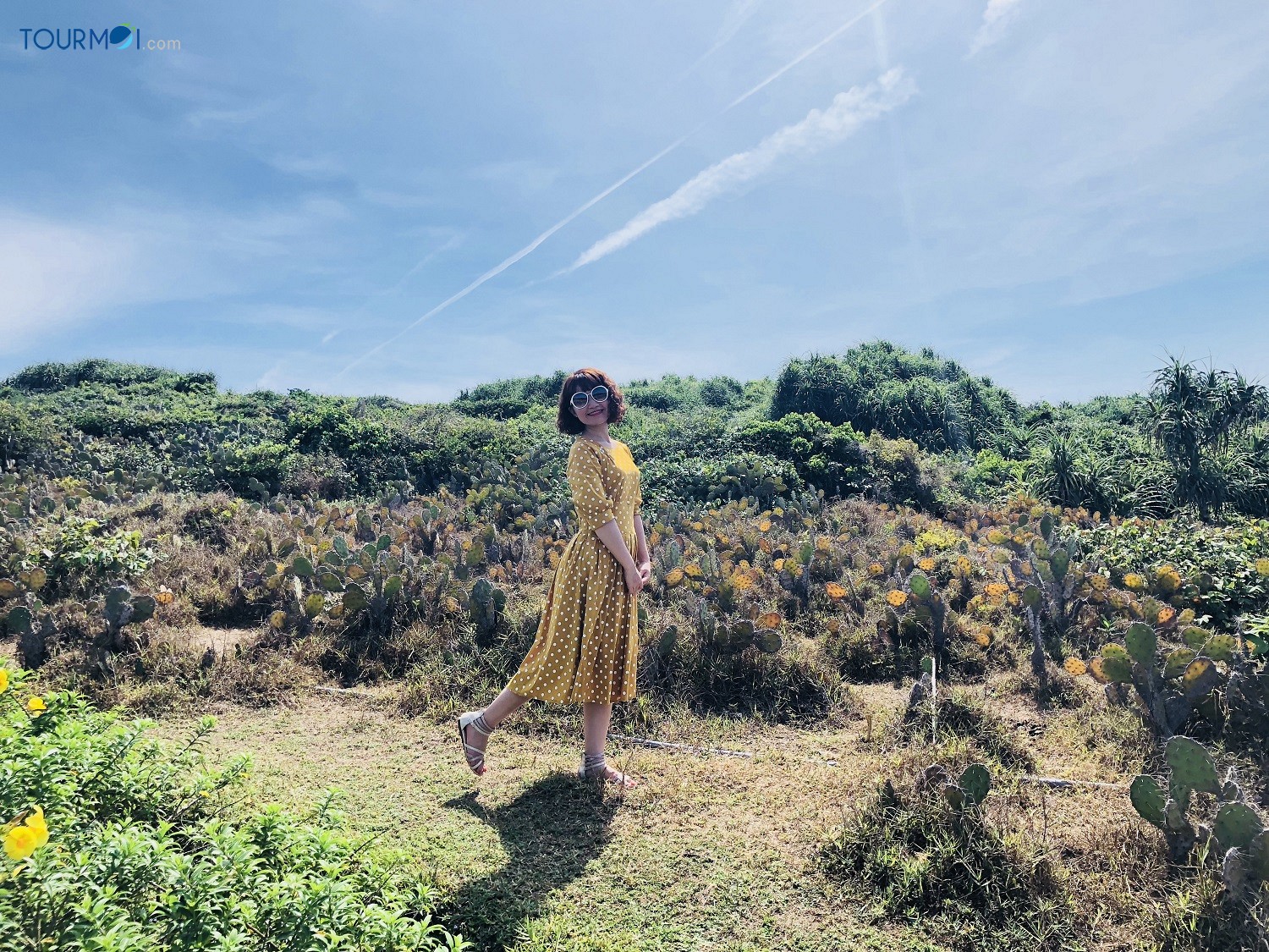 Tour Du lịch Phú Yên 3 Ngày Chất Lượng Cao, Giá Tốt Nhất - Ảnh 4 Tour Du lịch Phú Yên 3 Ngày Chất Lượng Cao, Giá Tốt Nhất - Ảnh 4