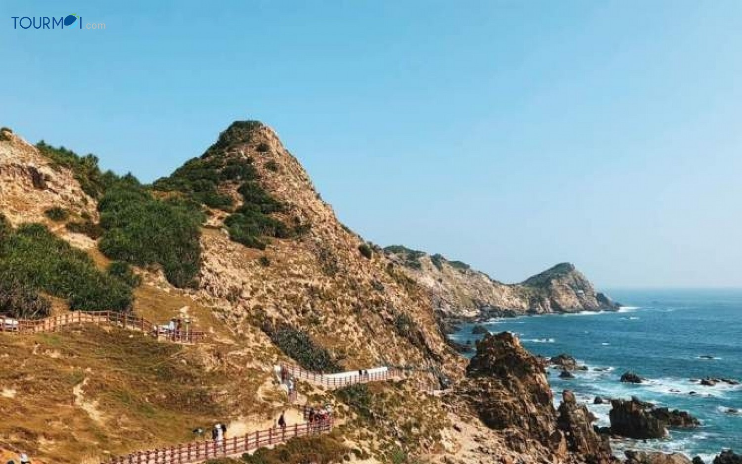 Tour Du lịch Quy Nhơn, Đất Võ Tây Sơn, Kỳ Co, Eo Gió 3 Ngày - Ảnh 2 Tour Du lịch Quy Nhơn, Đất Võ Tây Sơn, Kỳ Co, Eo Gió 3 Ngày - Ảnh 2