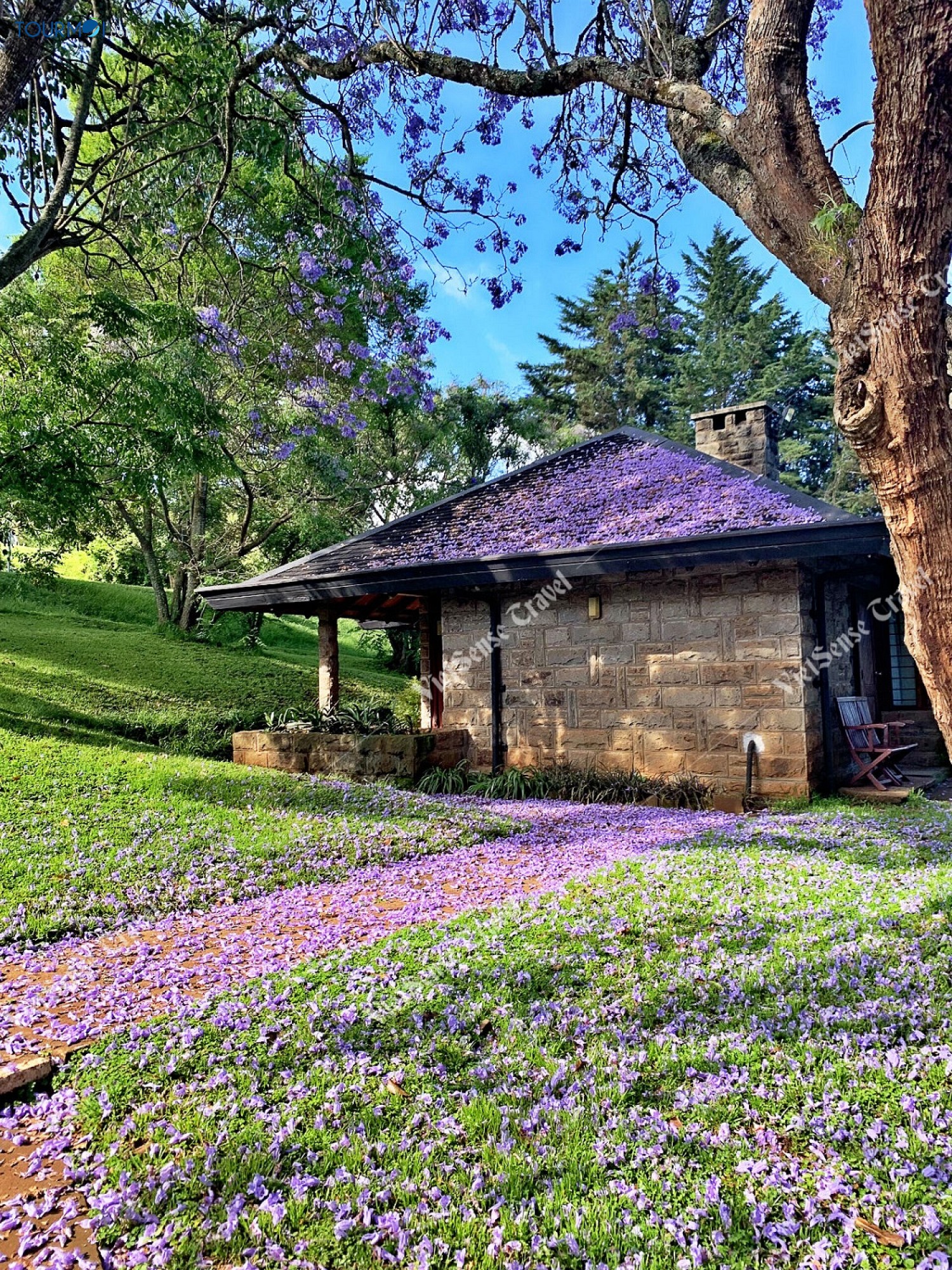 Tour Du lịch Nam Phi Mùa Phượng Tím Siêu Khuyến Mãi - Ảnh 1 Tour Du lịch Nam Phi Mùa Phượng Tím Siêu Khuyến Mãi - Ảnh 1