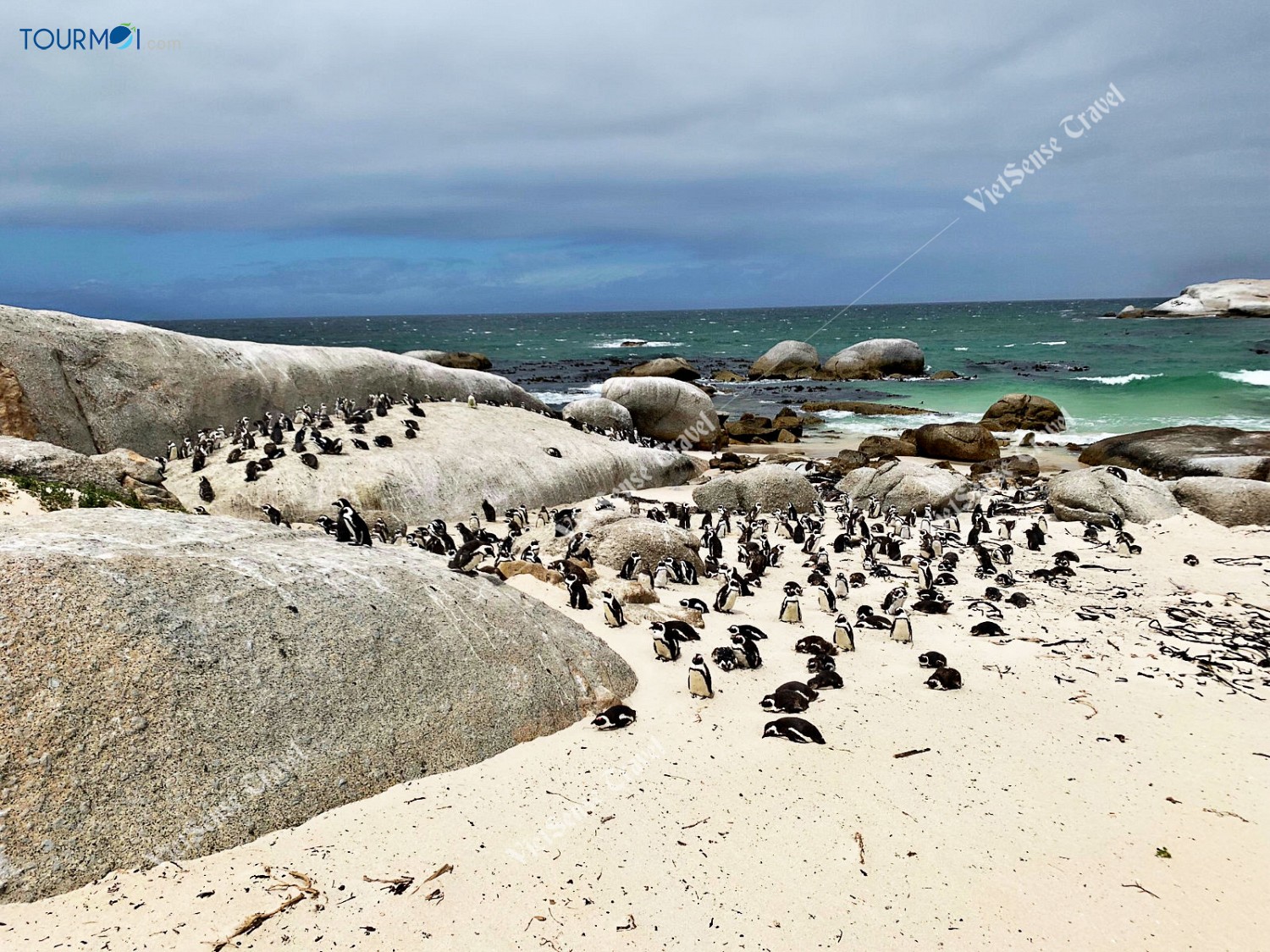 Tour Du lịch Nam Phi 9 Ngày Từ TP Hồ Chí Minh 2020 - Ảnh 4