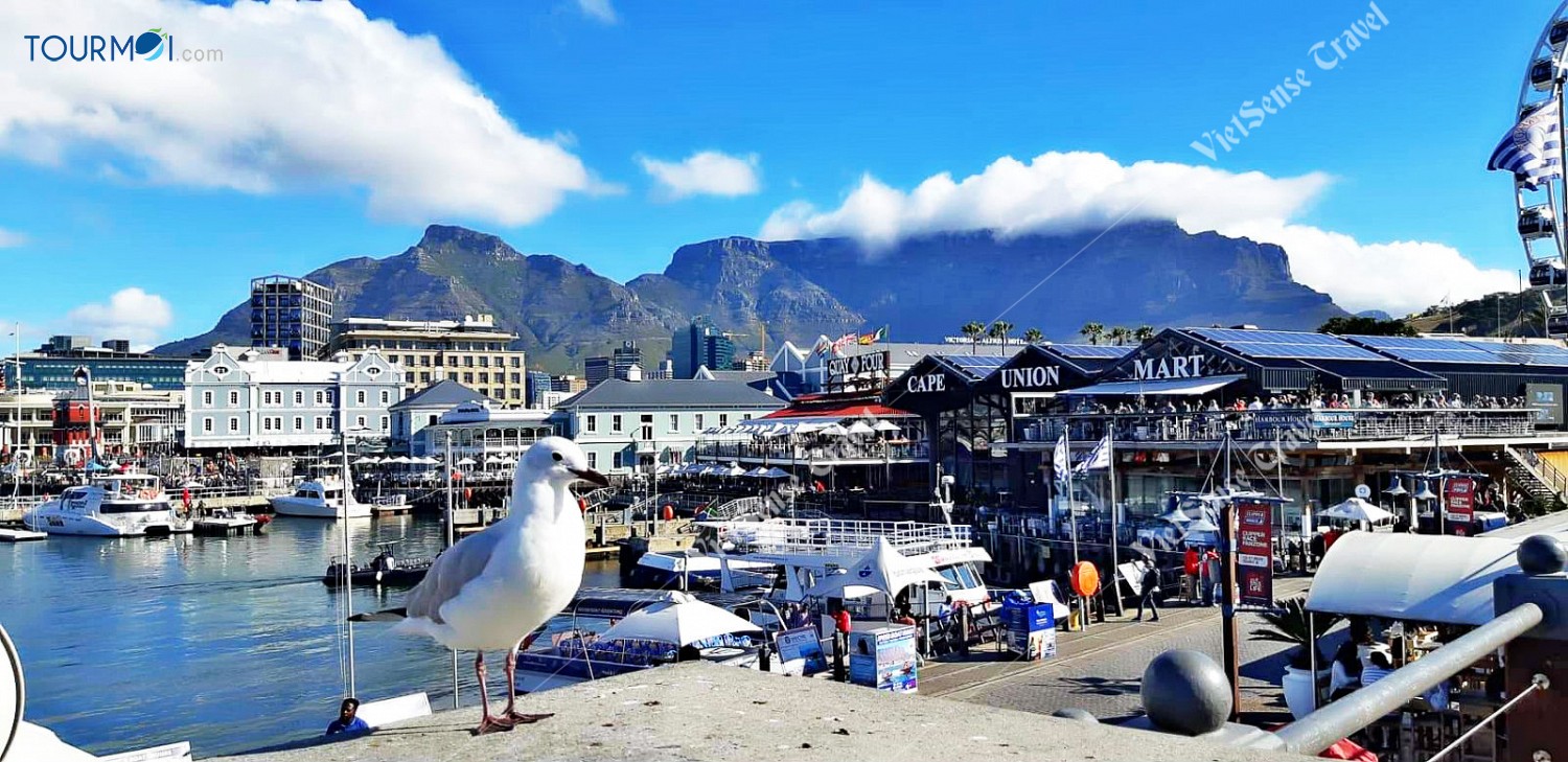 Tour Du lịch Nam Phi Mùa Phượng Tím Siêu Khuyến Mãi - Ảnh 3 Tour Du lịch Nam Phi Mùa Phượng Tím Siêu Khuyến Mãi - Ảnh 3