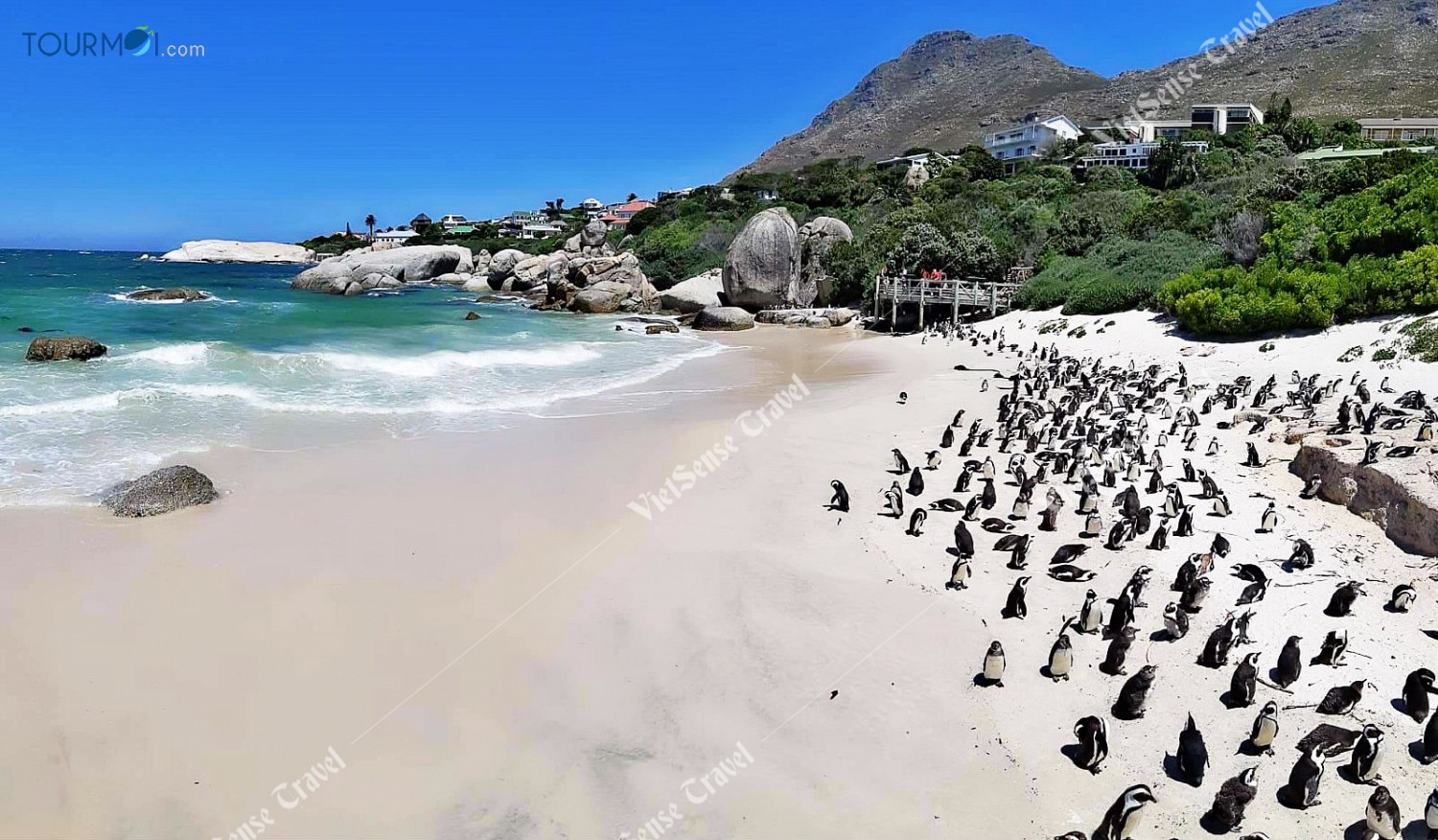 Tour Du lịch Nam Phi Mùa Phượng Tím Siêu Khuyến Mãi - Ảnh 4 Tour Du lịch Nam Phi Mùa Phượng Tím Siêu Khuyến Mãi - Ảnh 4