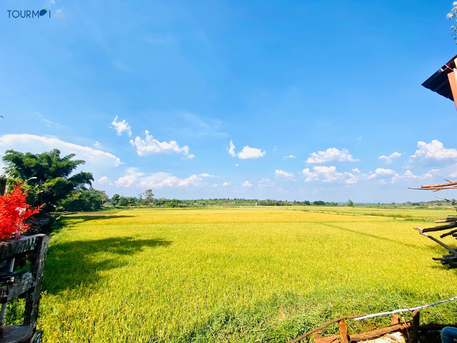 Nhà Tôi – My Home, điểm hẹn trên phố núi đại ngàn - Ảnh 8 Nhà Tôi – My Home, điểm hẹn trên phố núi đại ngàn - Ảnh 8