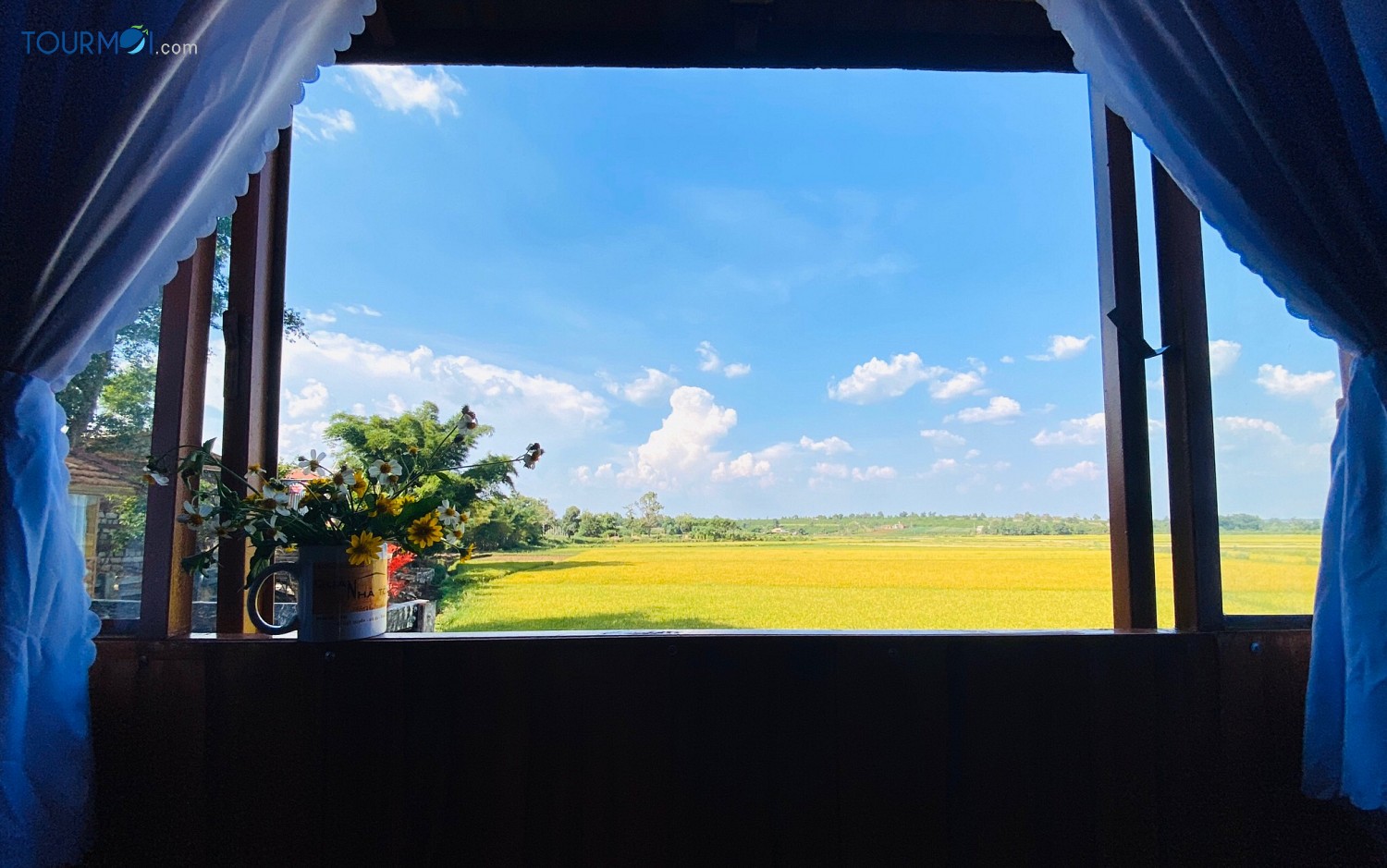 Nhà Tôi – My Home, điểm hẹn trên phố núi đại ngàn - Ảnh 2 Nhà Tôi – My Home, điểm hẹn trên phố núi đại ngàn - Ảnh 2