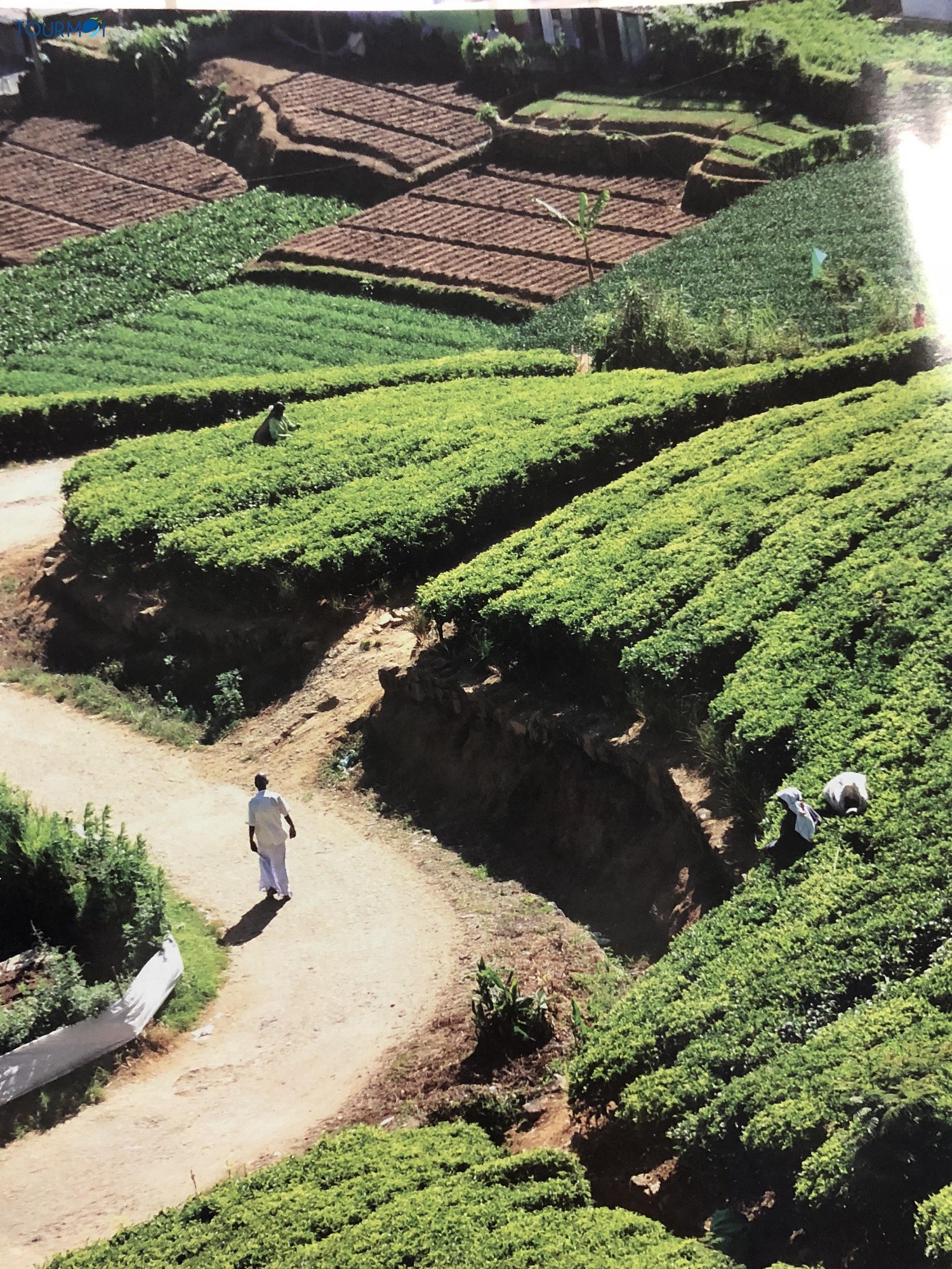 Sống chậm ở đảo quốc Sri Lanka - Ảnh 1 Sống chậm ở đảo quốc Sri Lanka - Ảnh 1