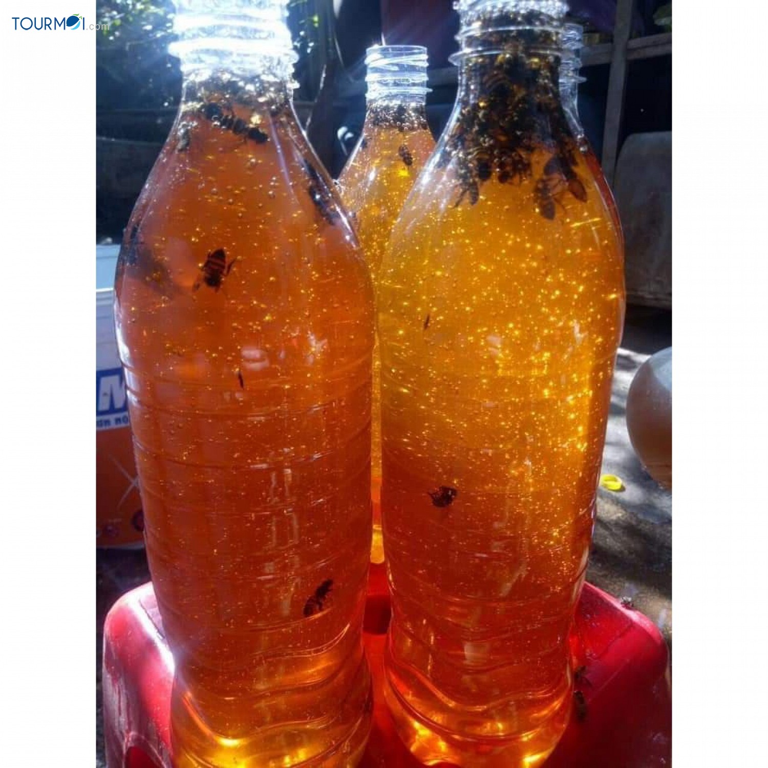 Tất tần tật về du lịch Lai Châu - Ảnh 5 Tất tần tật về du lịch Lai Châu - Ảnh 5