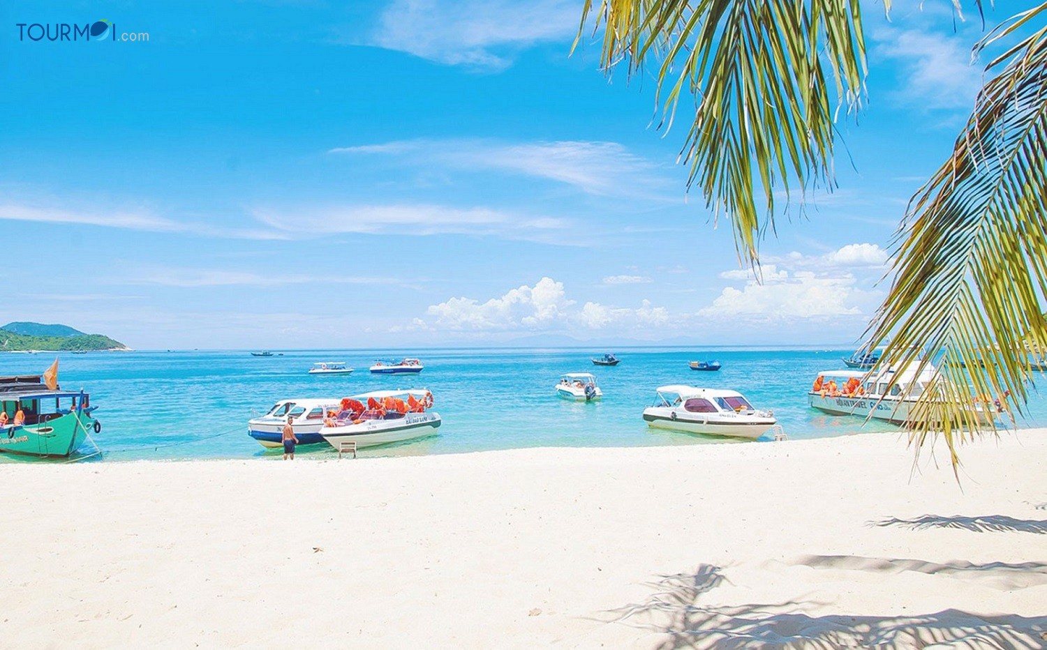 Tour Cù Lao Chàm 1 Ngày - Ảnh 1 Tour Cù Lao Chàm 1 Ngày - Ảnh 1