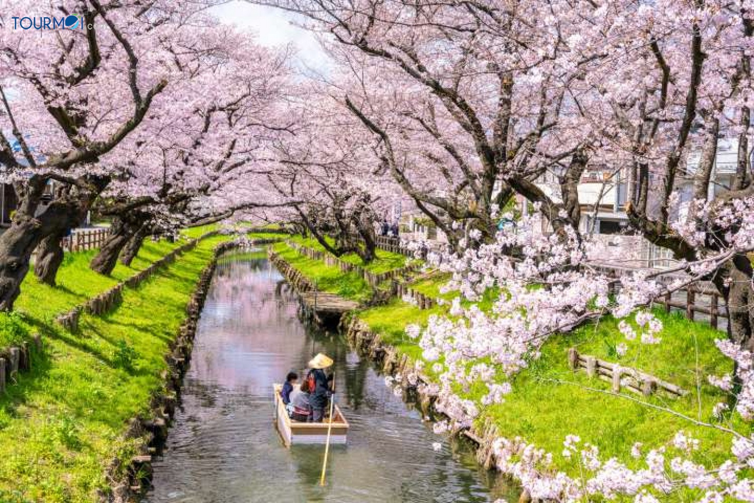 Trải nghiệm Lễ hội Hoa Anh Đào Nhật Bản như người bản xứ - Ảnh 1 Trải nghiệm Lễ hội Hoa Anh Đào Nhật Bản như người bản xứ - Ảnh 1