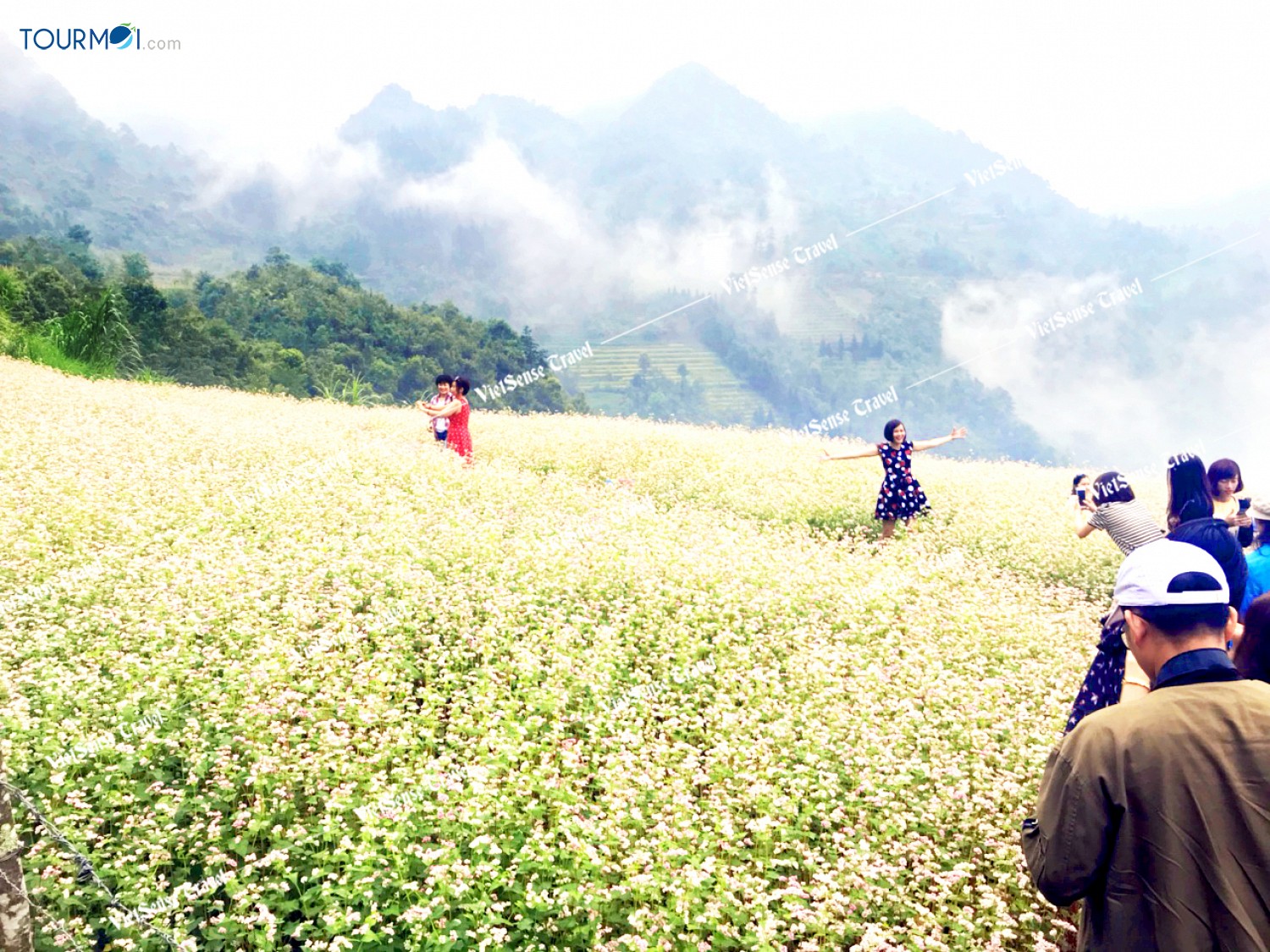 Trải nghiệm sắc màu Hoa Đá Tam Giác Mạch Hà Giang 2021 - Ảnh 5 Trải nghiệm sắc màu Hoa Đá Tam Giác Mạch Hà Giang 2021 - Ảnh 5