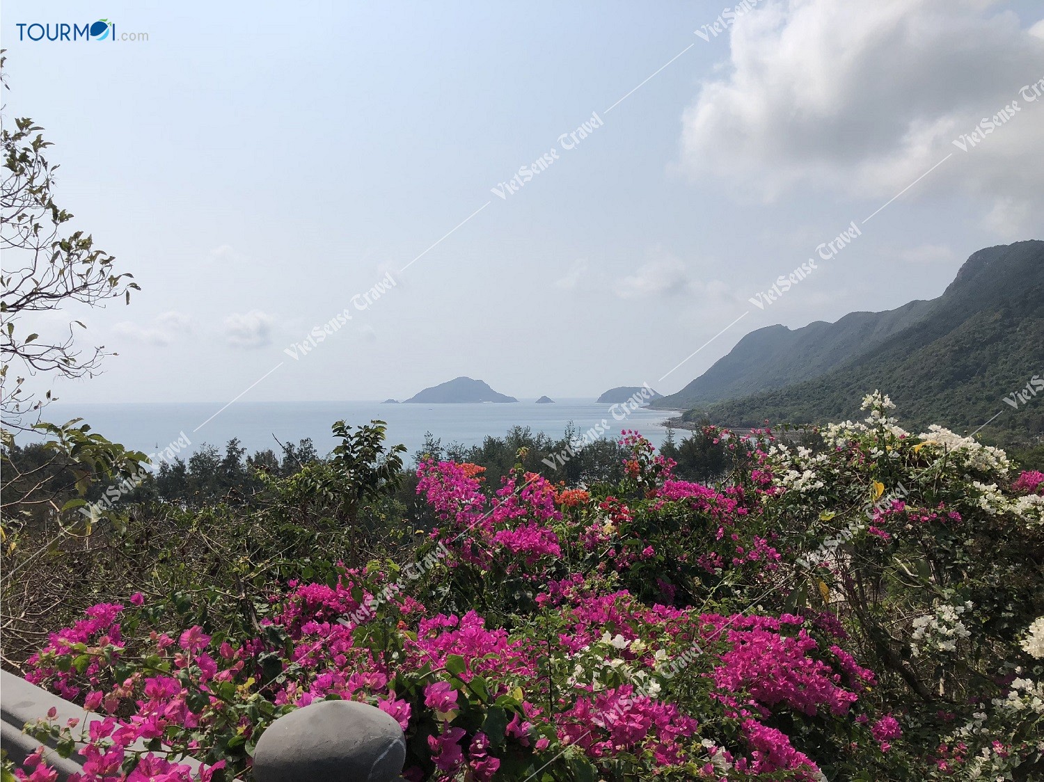 Vân Sơn Tự, ngôi Chùa Núi Một Côn Đảo đẹp nhất Việt Nam - Ảnh 4 Vân Sơn Tự, ngôi Chùa Núi Một Côn Đảo đẹp nhất Việt Nam - Ảnh 4