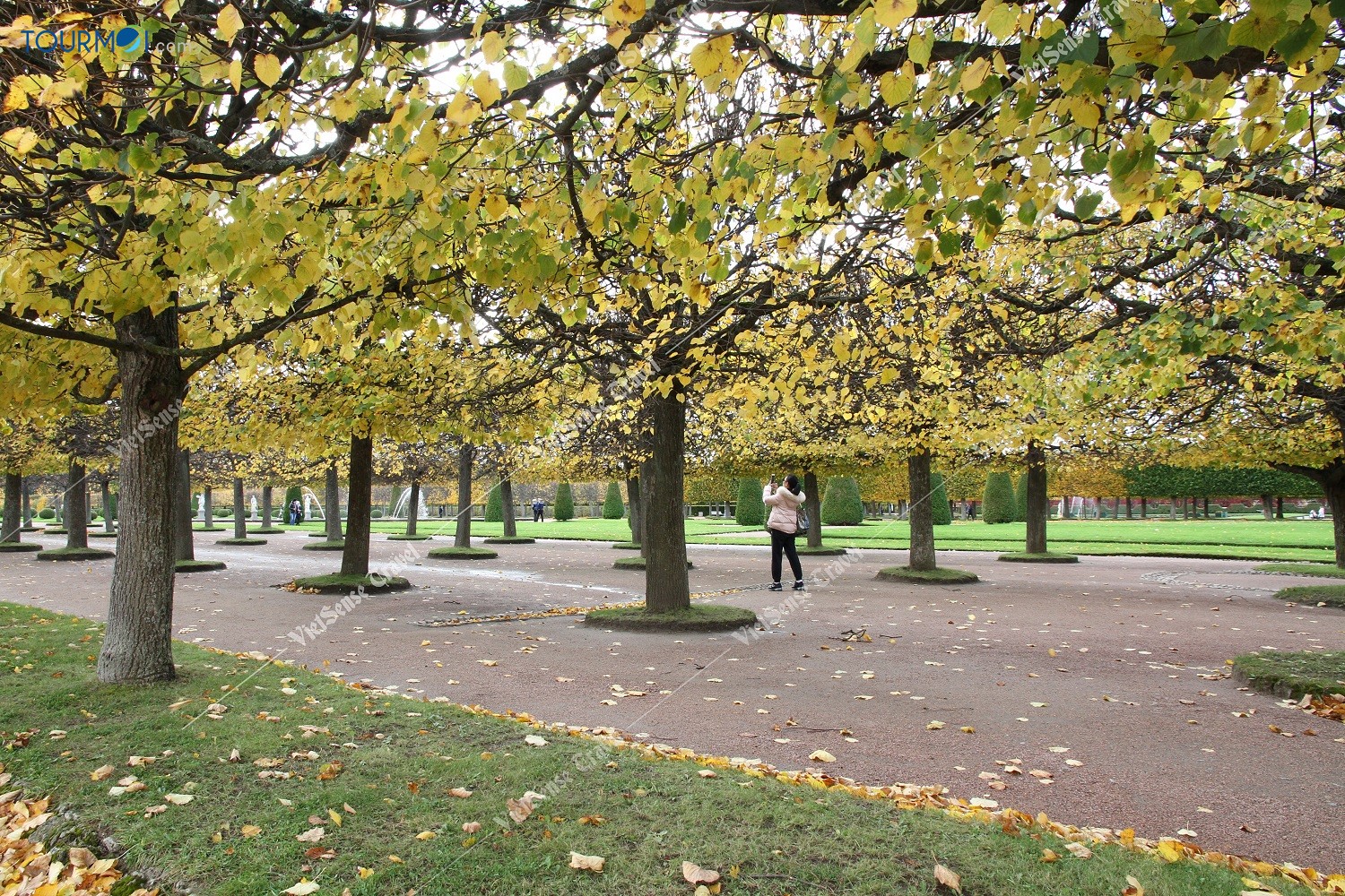 Vẻ đẹp quyến rũ mùa thu vàng nước Nga - Ảnh 2 Vẻ đẹp quyến rũ mùa thu vàng nước Nga - Ảnh 2