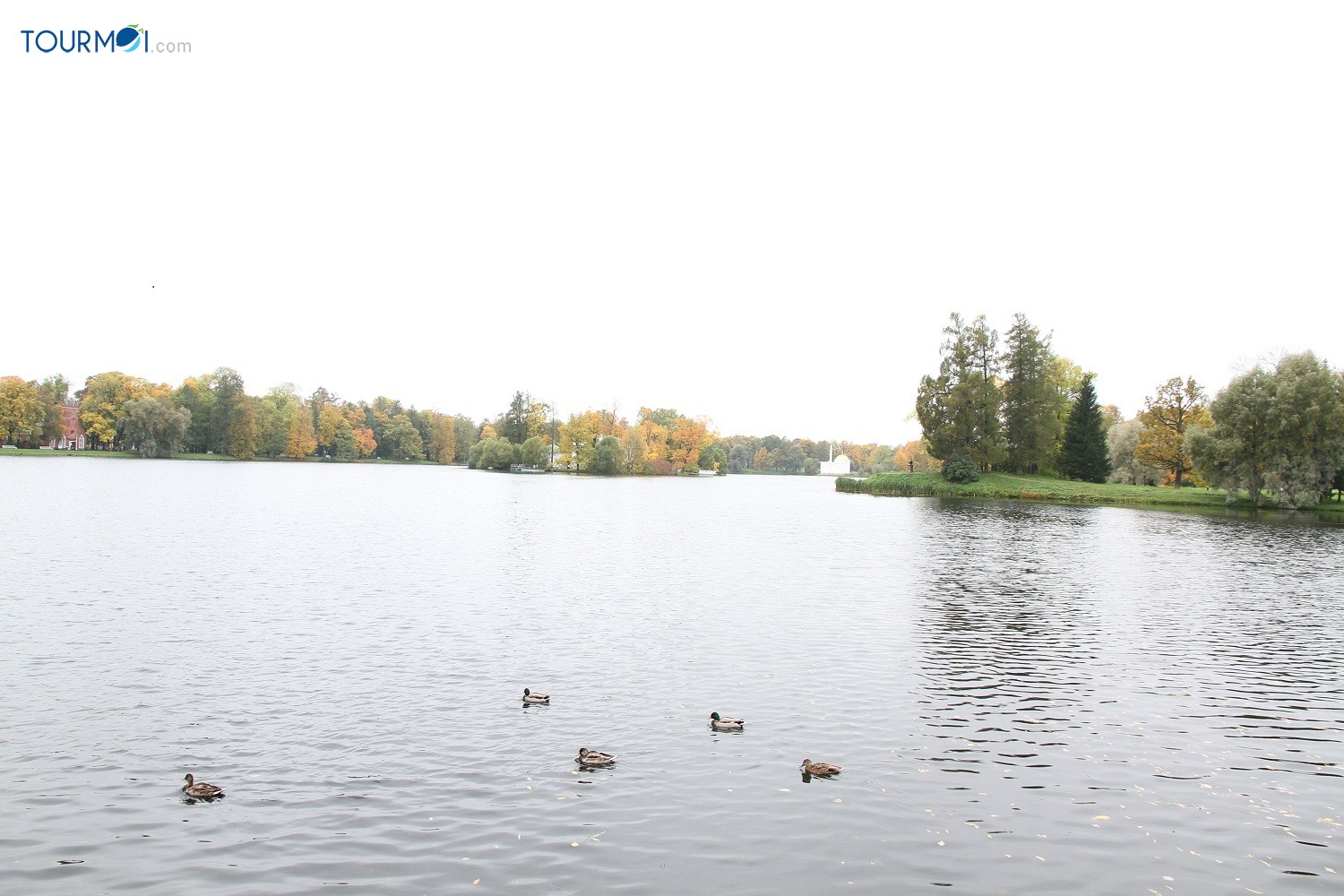 Vẻ đẹp quyến rũ mùa thu vàng nước Nga - Ảnh 7 Vẻ đẹp quyến rũ mùa thu vàng nước Nga - Ảnh 7