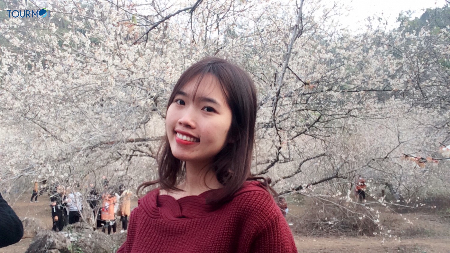 Vẻ đẹp những mùa hoa trên cao nguyên Mộc Châu - Ảnh 1 Vẻ đẹp những mùa hoa trên cao nguyên Mộc Châu - Ảnh 1